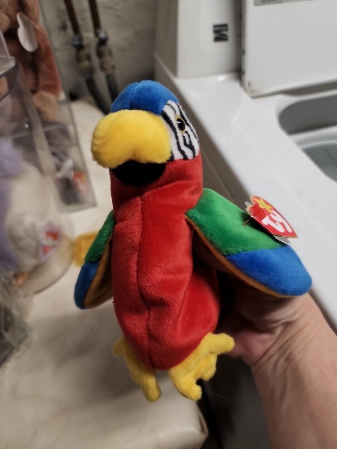 RARE Jabber the Parrot Ty Beanie Baby w/ GRAMMATICAL ERROR Excellent Condition
