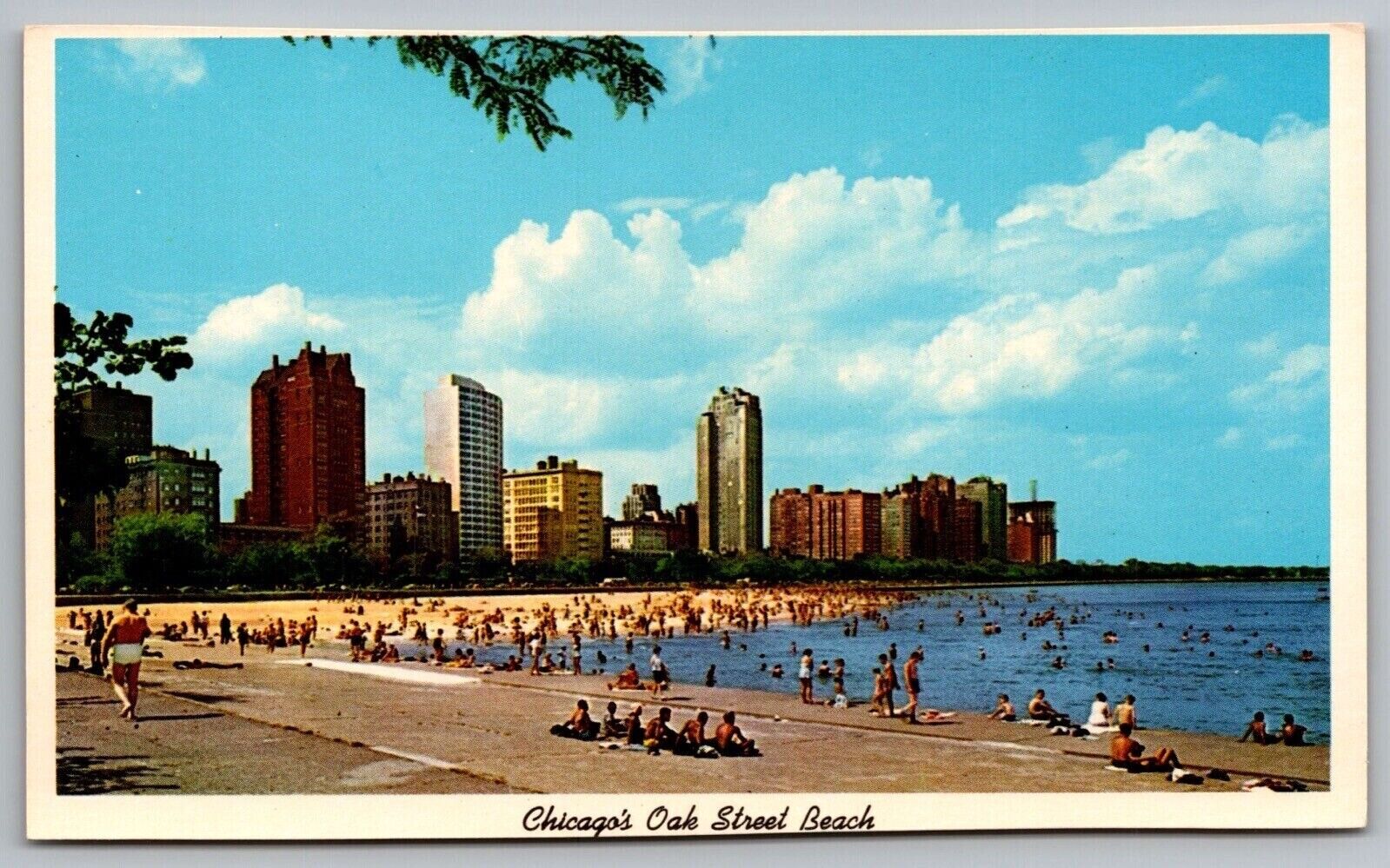 Illinois Chicago Oak Street Beach North Shore Skyline Skyscrapers WOB Postcard
