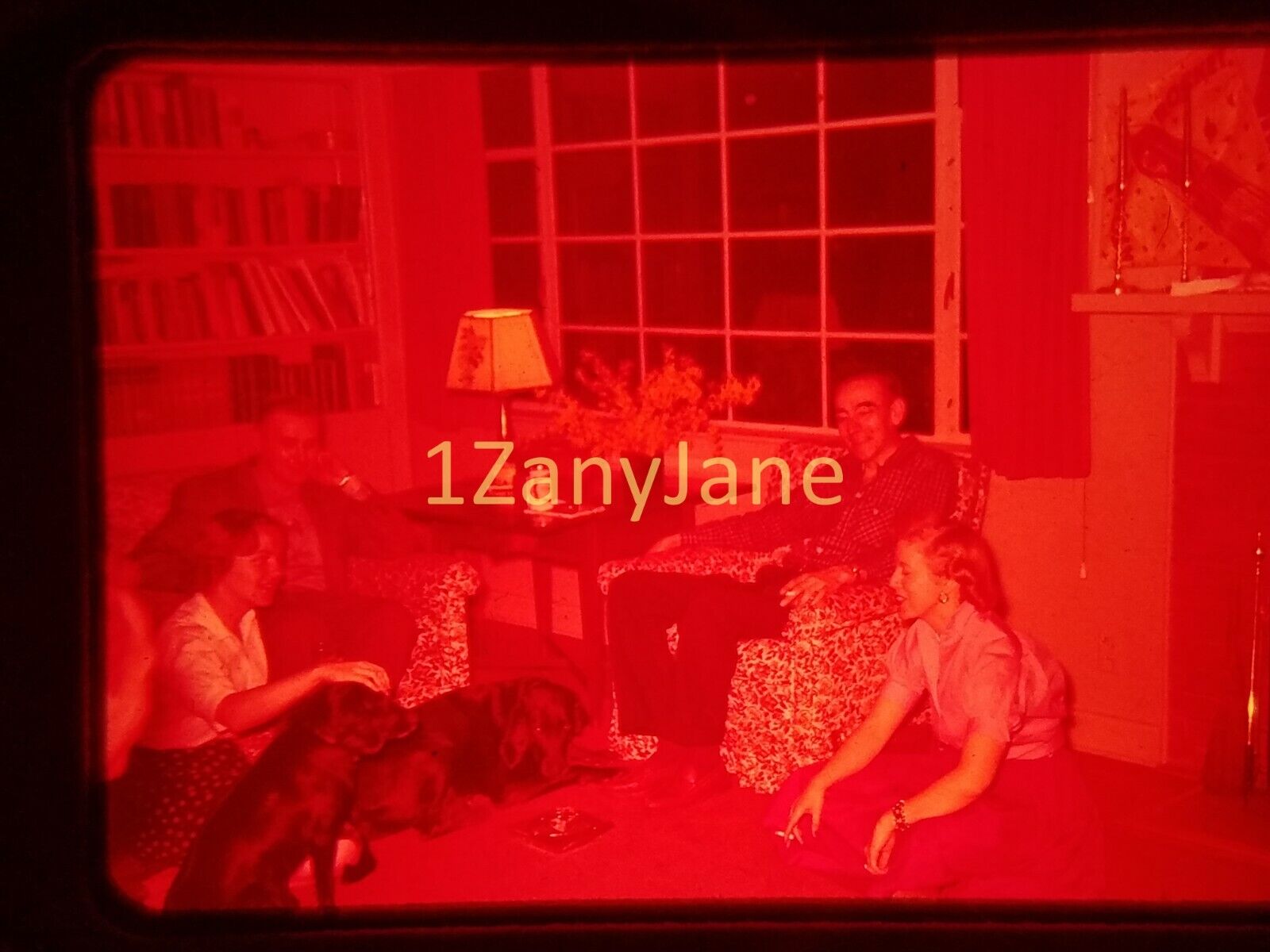 PY16 Vintage 35MM SLIDE Photo TWO MEN, TWO WOMEN, TWO DOGS IN LIVING ROOM