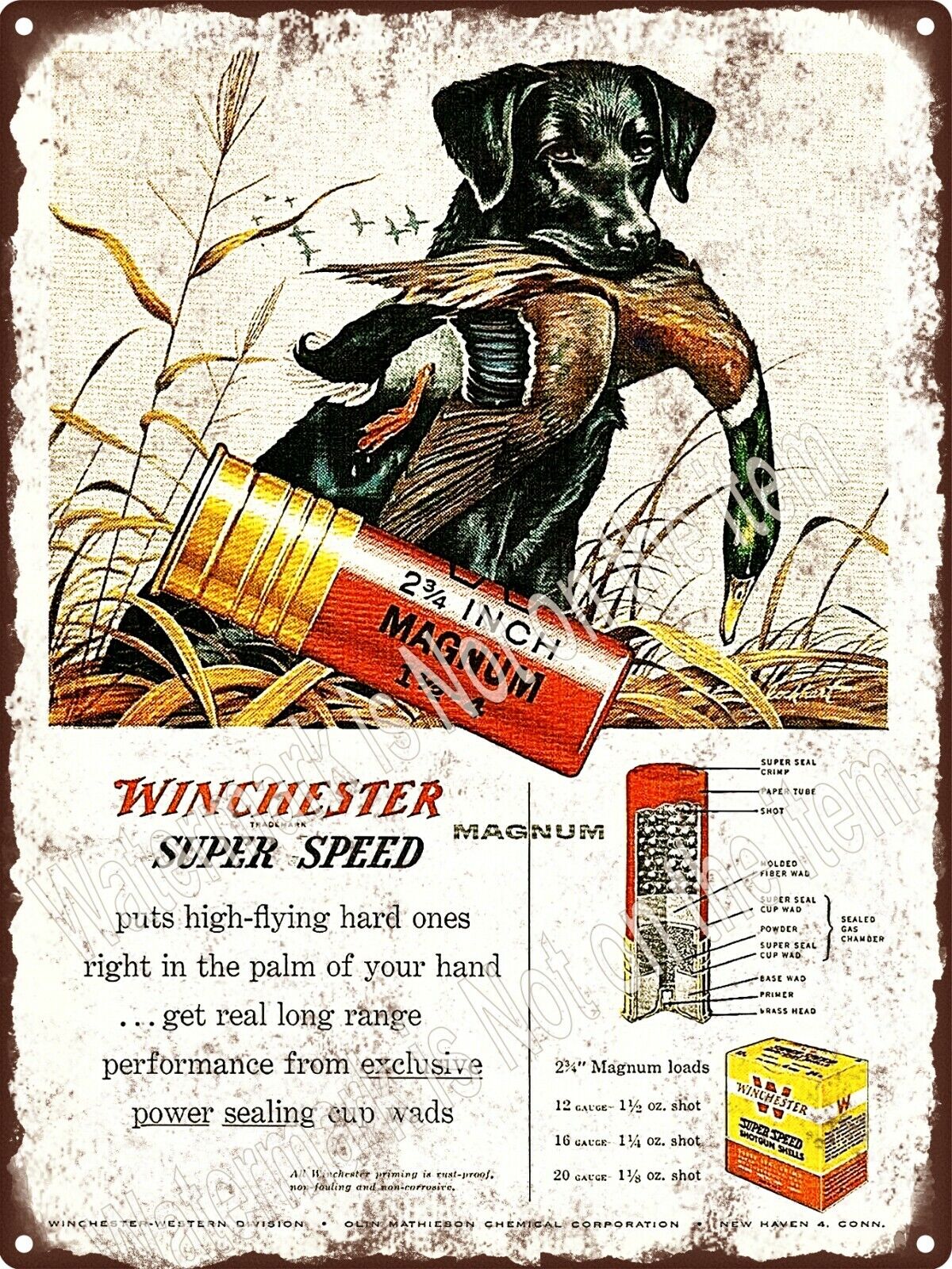 1956 WINCHESTER SUPER SPEED MAGNUM SHELLS BLACK LAB MALLARD Metal Sign 9x12 A570