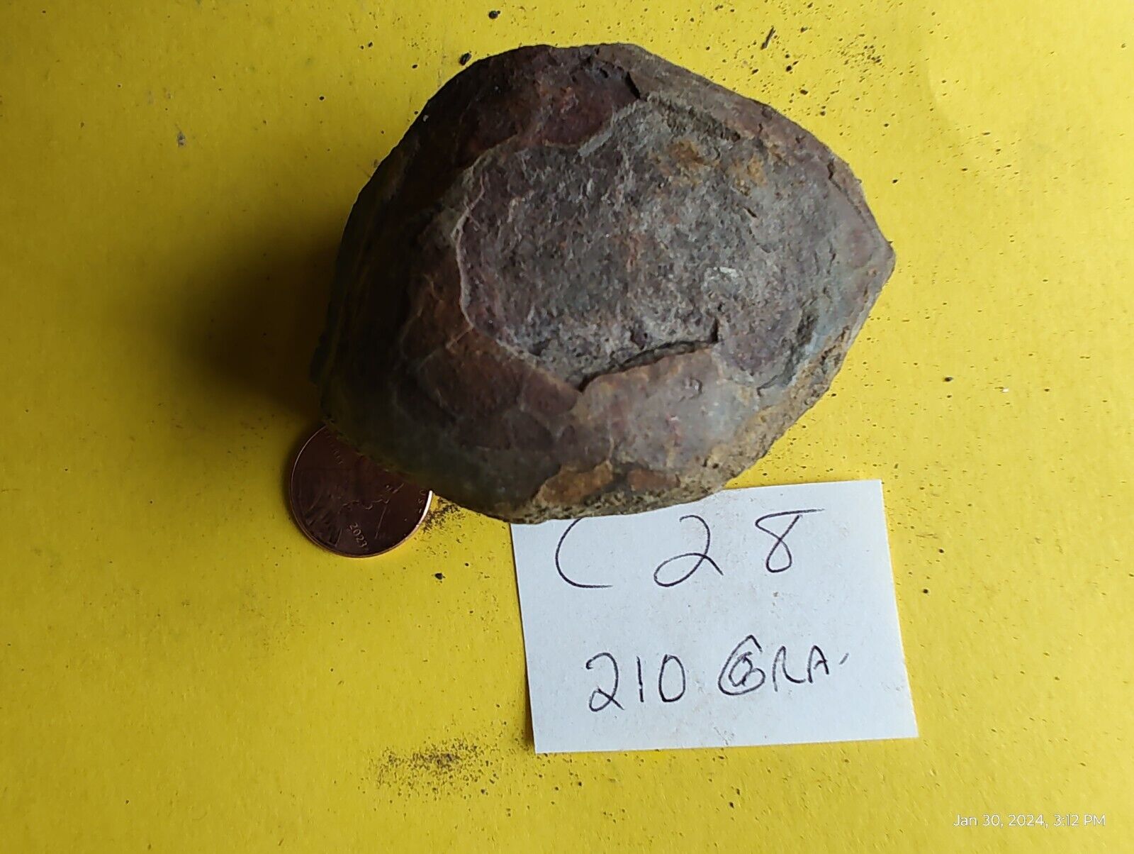 Coprolite Fossil Dinosaur Dung Poop crap Dino turd 210 gram 🦕