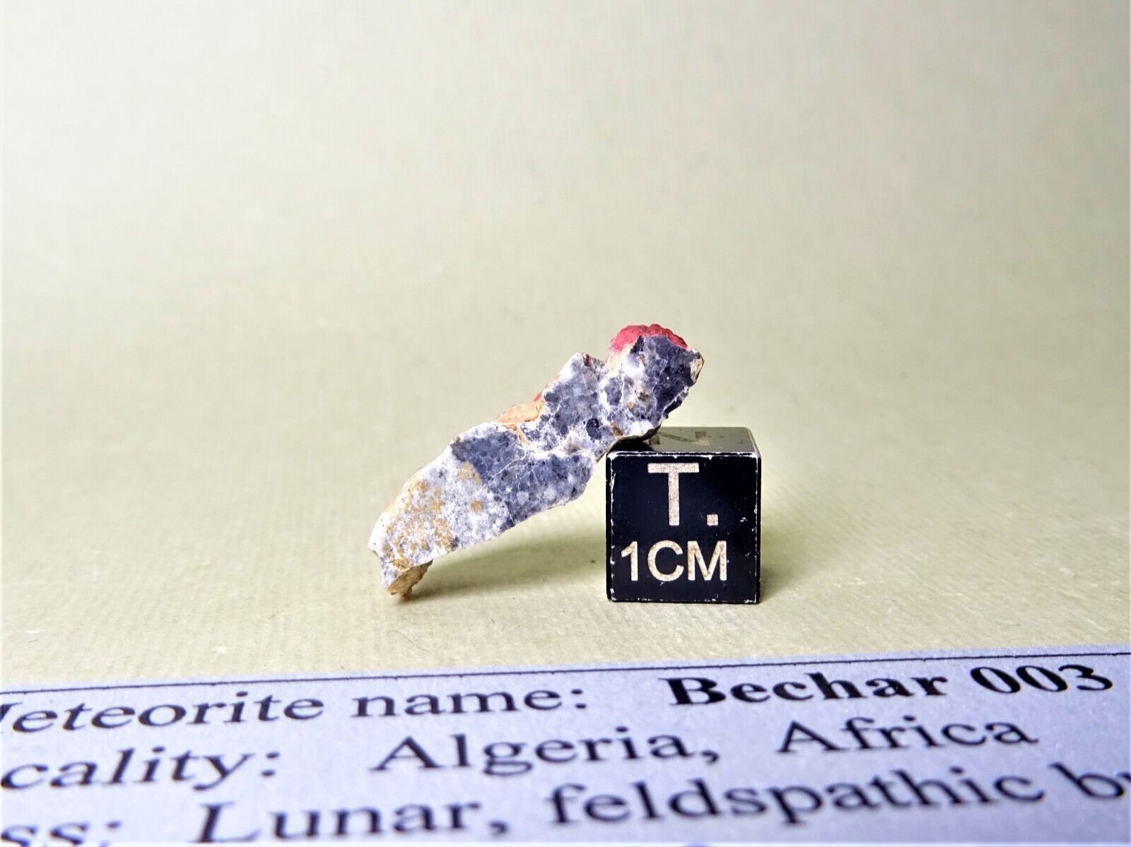 meteorite Bechar 003 Lunar Moon feldspat. brec. end piece 2,10 g in display case