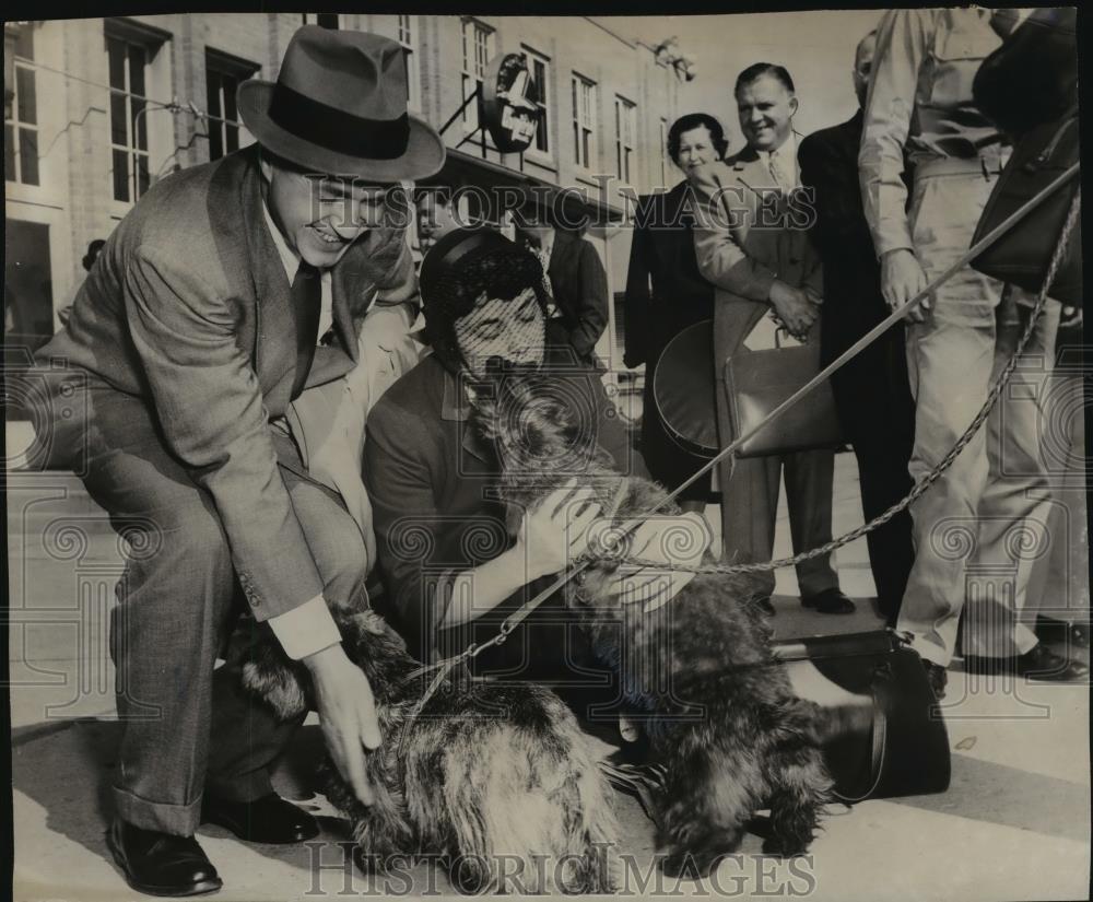 1951 Press Photo Birkie & Cissie, guberbatorial Scotties with Gov. & Mrs. Kohler