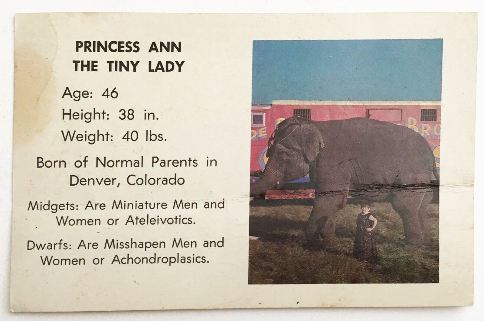 Vintage Circus Photo Card PRINCESS ANN  Tiny Lady  Little Person Dwarf Midget 
