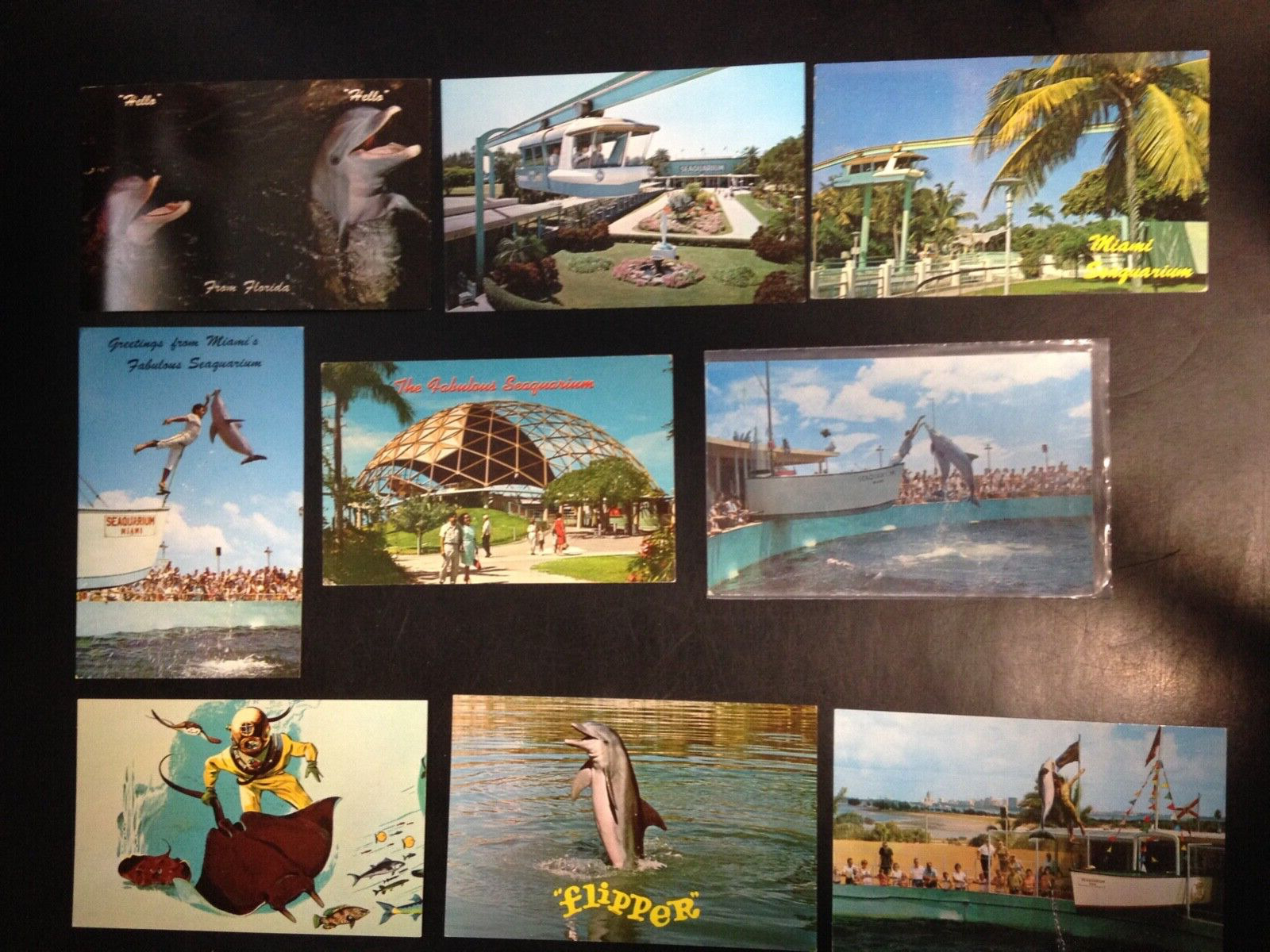 30+ Postcard lot, Florida, Amusement Parks and Roadside Attractions