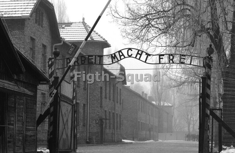 WW2 Picture Photo Auschwitz German Concentration Camp  4751