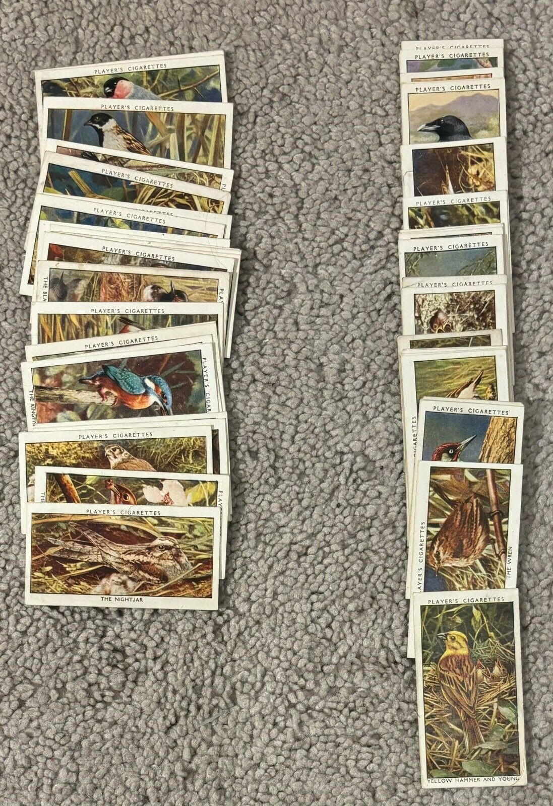 1932 JOHN PLAYER & SONS wild birds COMPLETE SET OF 50 great deal