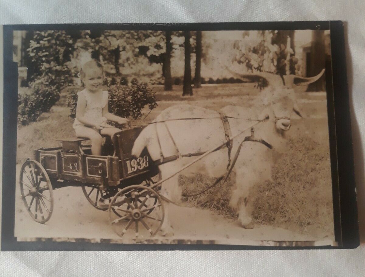 Unusual Early Postcard RPPC Animal Little Girl Advertising Goat Wagon Cart 