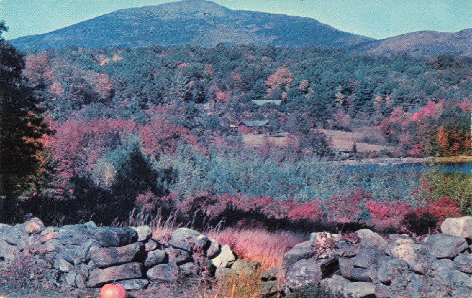 Mt Monadnock NH New Hampshire, Mountain, Fall Foliage Rock Wall Vintage Postcard