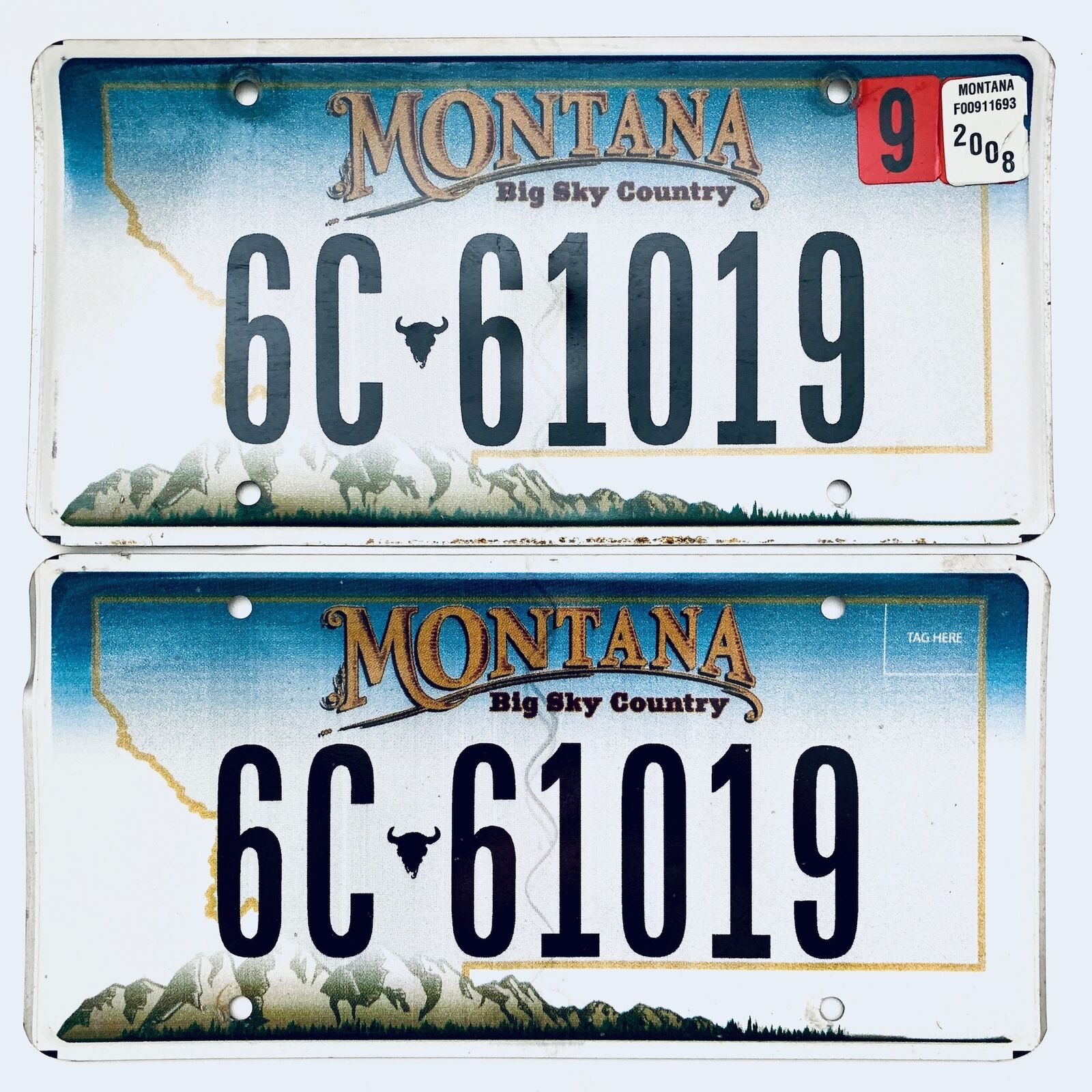 2008 United States Montana Gallatin County Passenger License Plate 6C 61019