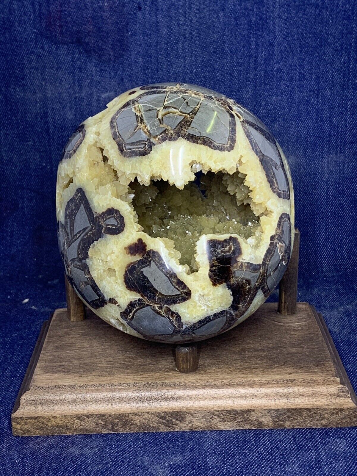 Septarian Nodule Hollow 4 1/2 “ Sphere ( Utah ) With Stand