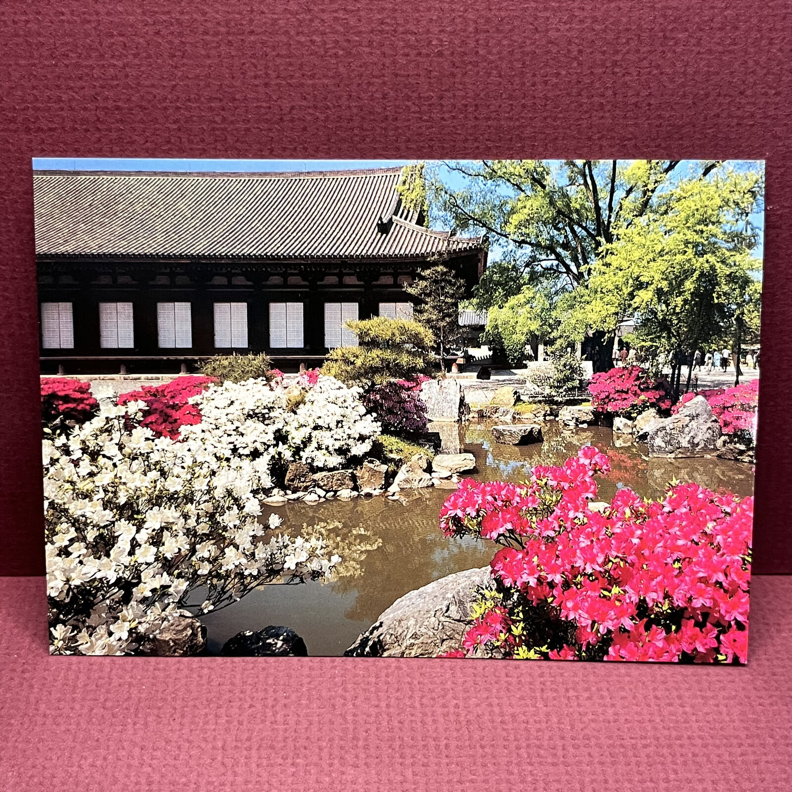 Vintage Chrome Card Sanjusanjen-do Japan Kyoto Shrine Temple 4x6 B12