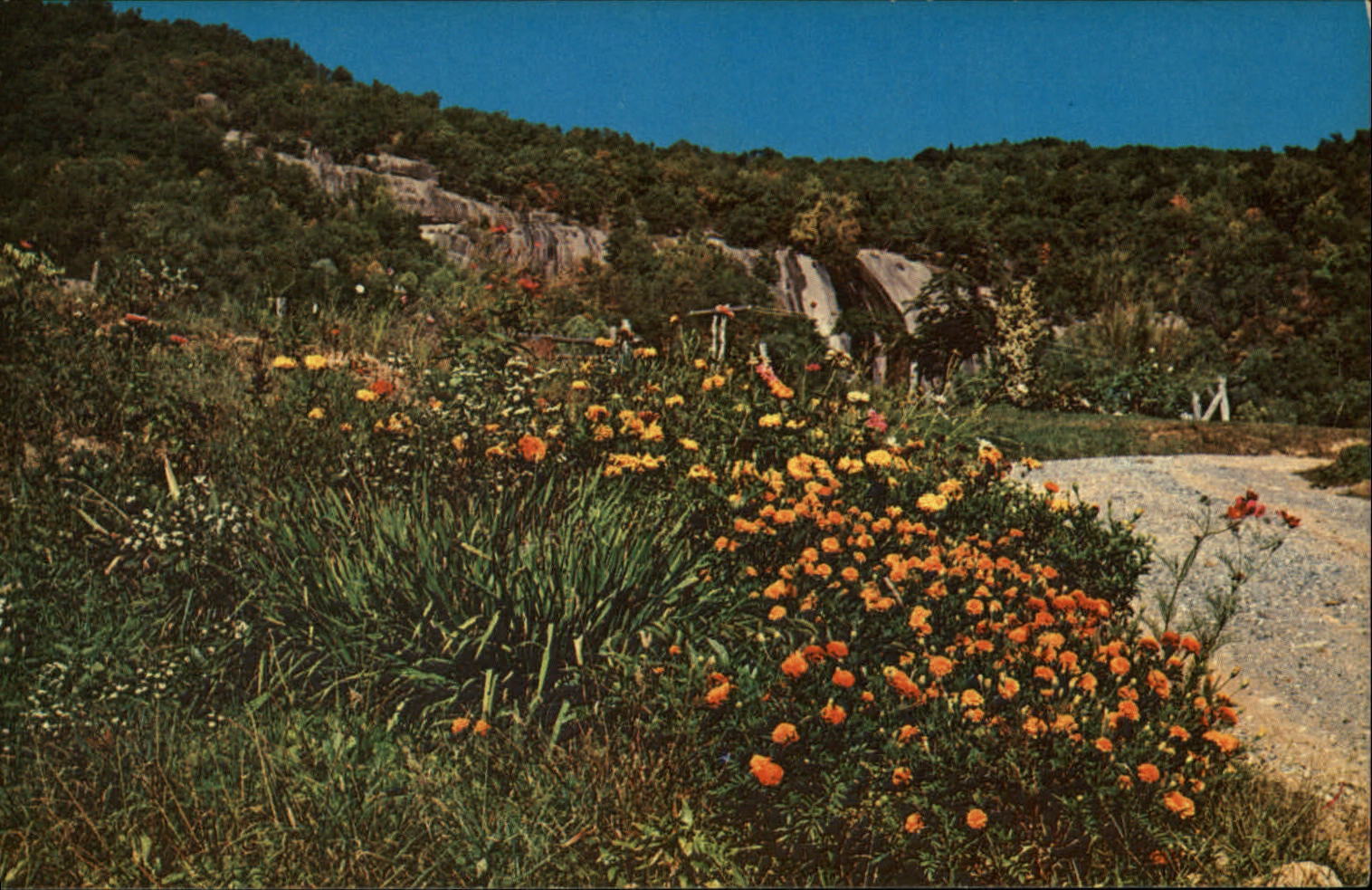 Slippery Rock Grayson County Virginia on Rt. 21 ~ 1980s vintage postcard