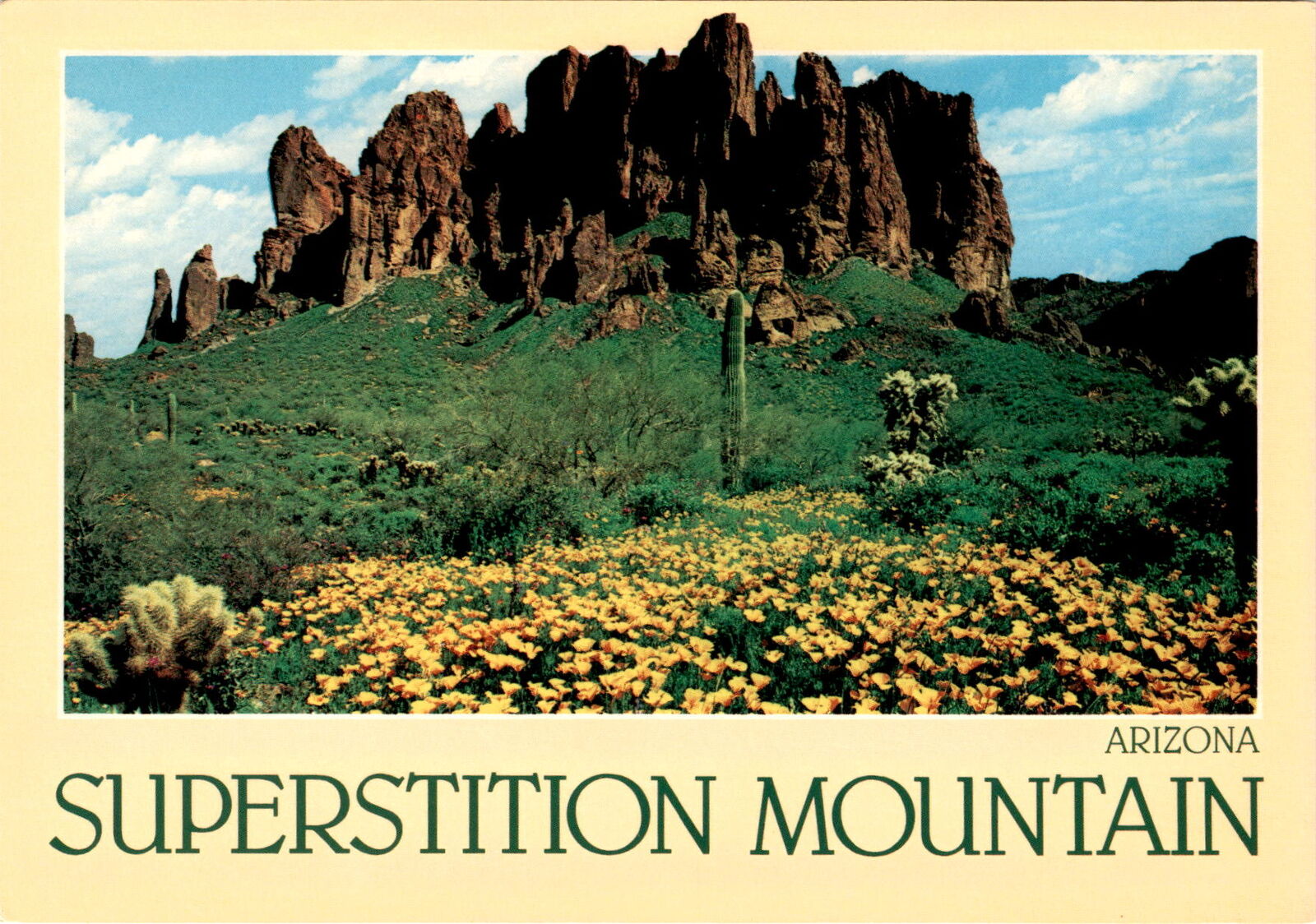 Superstition Mountain, Arizona, desert poppies, cholla cactus, Jumping Postcard