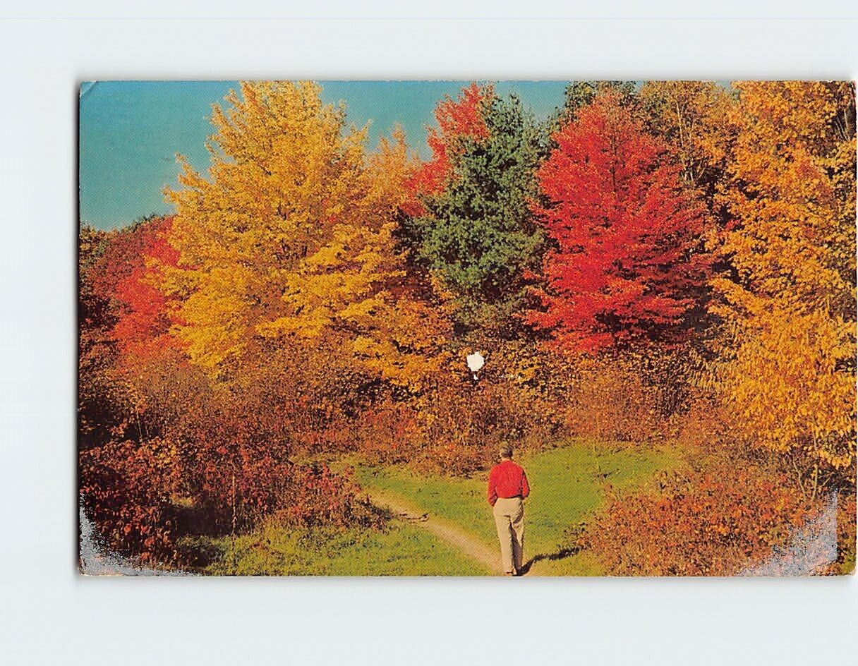 Postcard Autumn Vacationland Scene USA North America