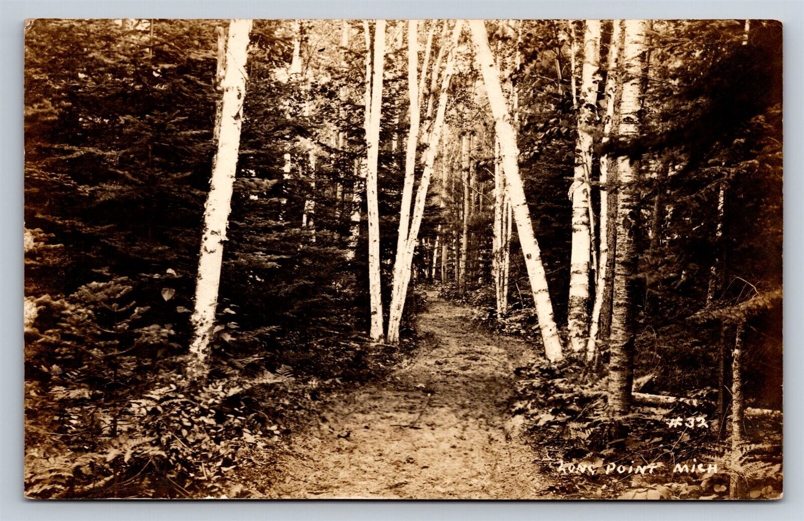 Postcard MI Long Point Michigan Path Through Birch Trees RPPC Real Photo AN21