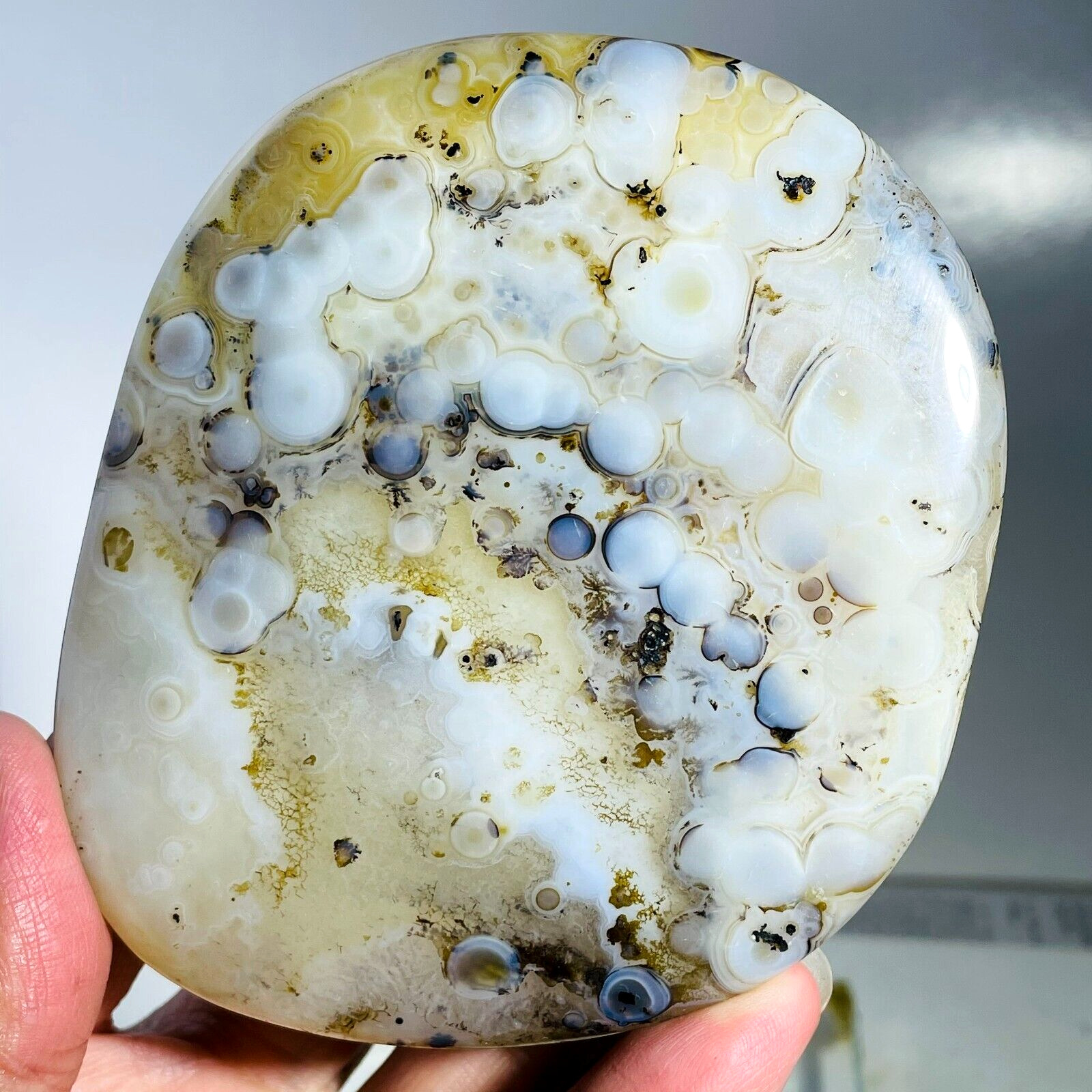 249g Magic Circle Dendritic Agate Crystal Palm Stone Picture Landscape Healing