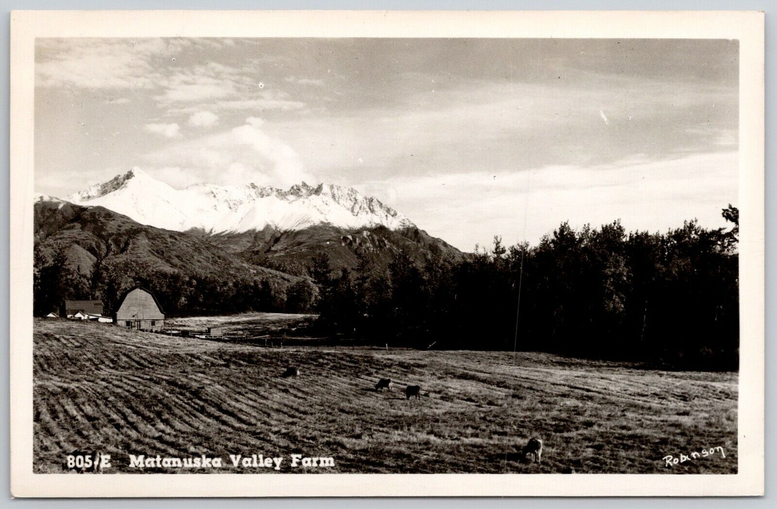  Matanuska-Susitna Valley~Farm w/Gambrel Roof Barn~Mountains RPPC 1940s Postcard