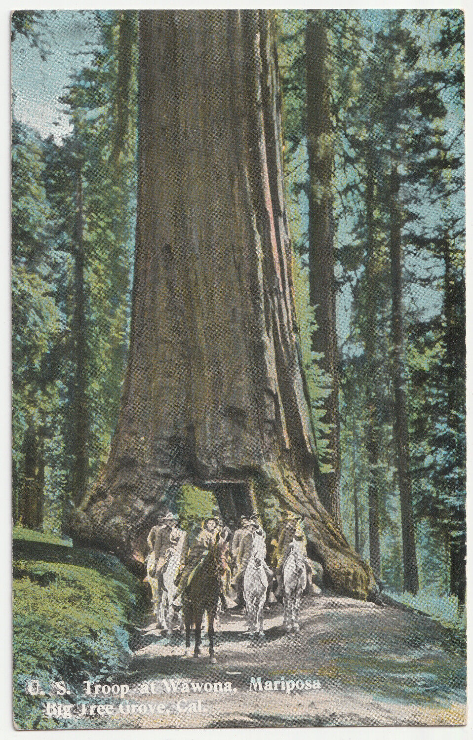 c1910~US Troops~Wawona Tree~Mariposa Grove~Yosemite California CA~Vtg Postcard