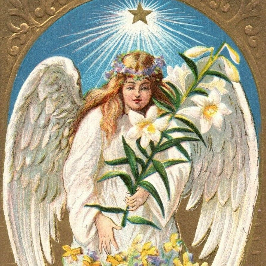 c.1909 Easter Greeting Postcard Angel Wings Lamb 5 Point Star of Bethlehem Lily