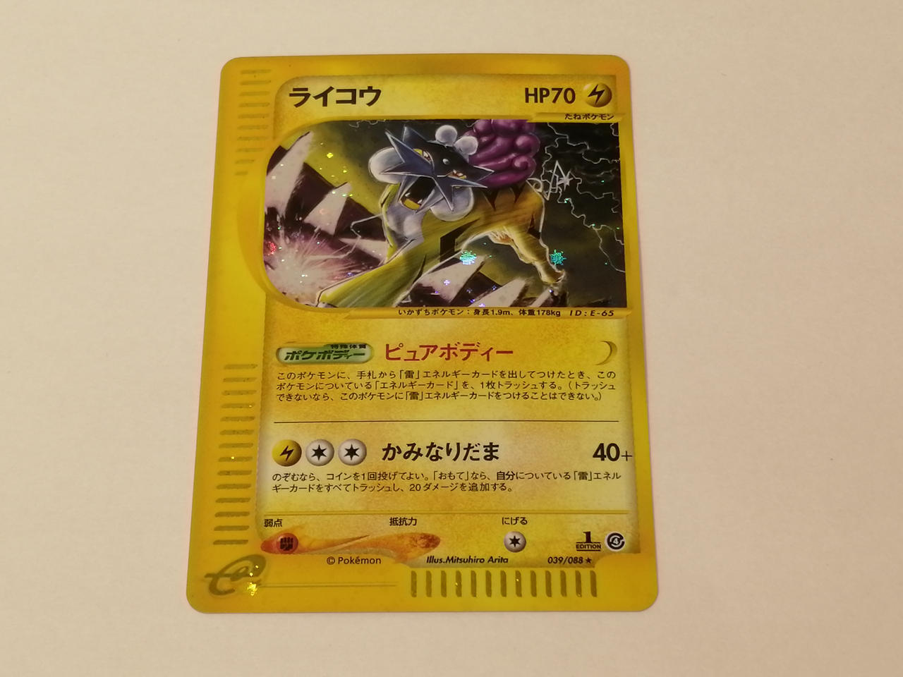 Raikou Model number  039 088 Pokemon