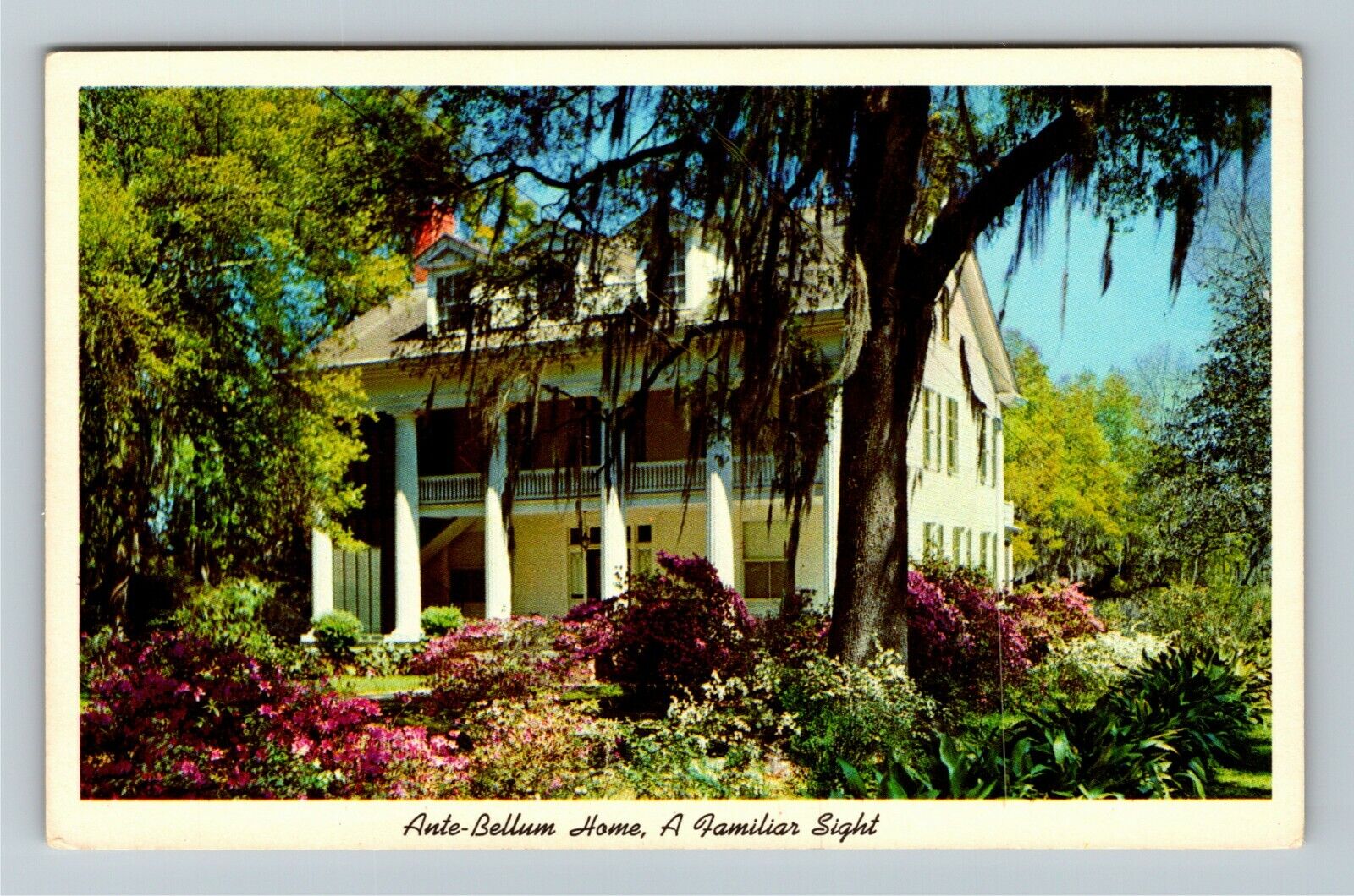 AL-Alabama, Ante Bellum Home, A Familiar Sight, Vintage Postcard