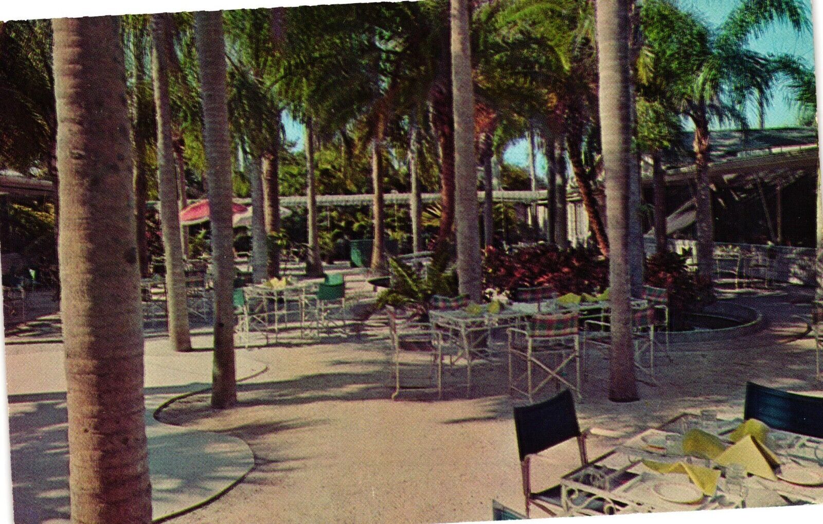 Vintage Postcard - Exterior Seating Palm Garden Restaurant Largo Florida FL