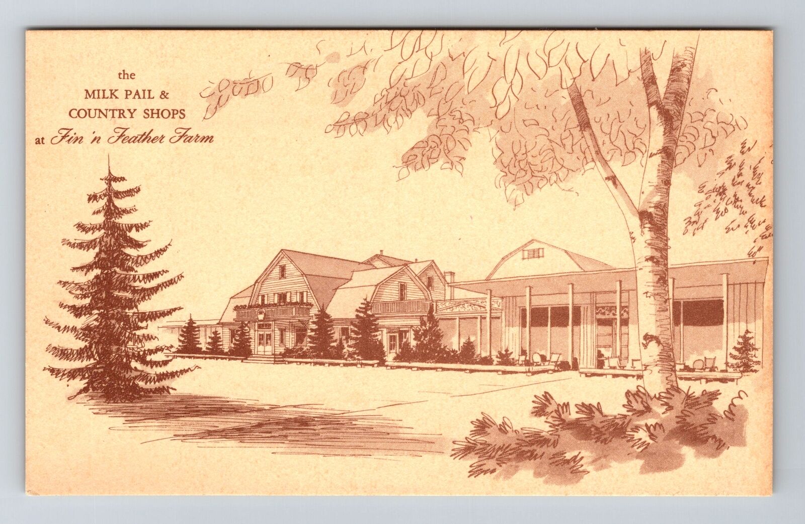 Elgin, IL-Illinois, Fin N Feather Farm Advertising , Vintage Souvenir Postcard