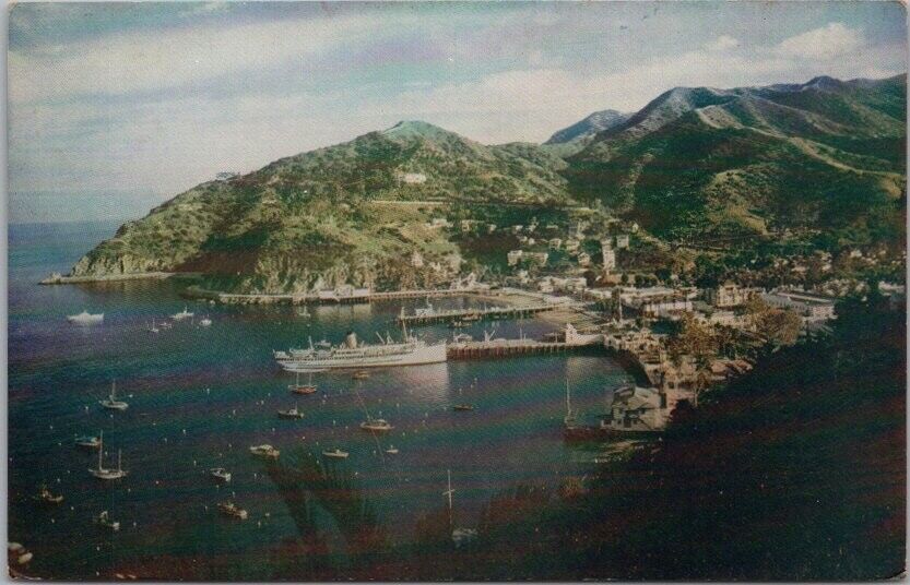c1940s CATALINA ISLAND California Postcard \