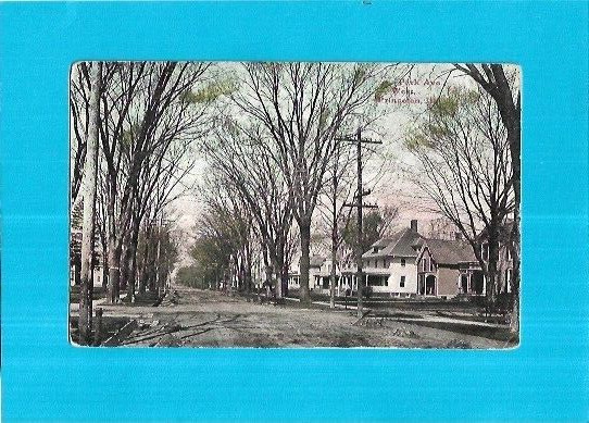 Vintage Postcard-Park Avenue, West, Princeton, Ilinois