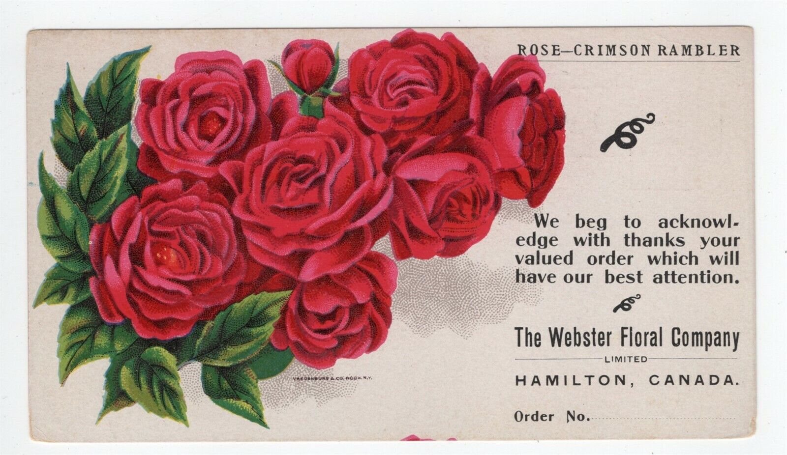 THE WEBSTER FLORAL CO. HAMILTON CANADA PRE 1907 ADVERTISING PC