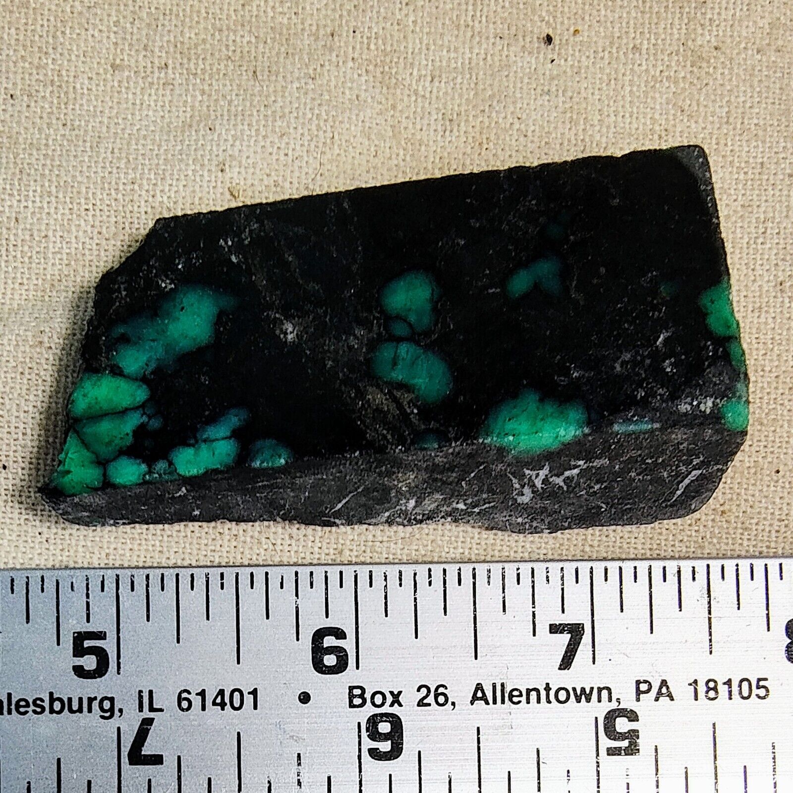 Desert Gem Old Stock Variscite Turquoise Rough Stone Gem 59 Gram Lot 38-08