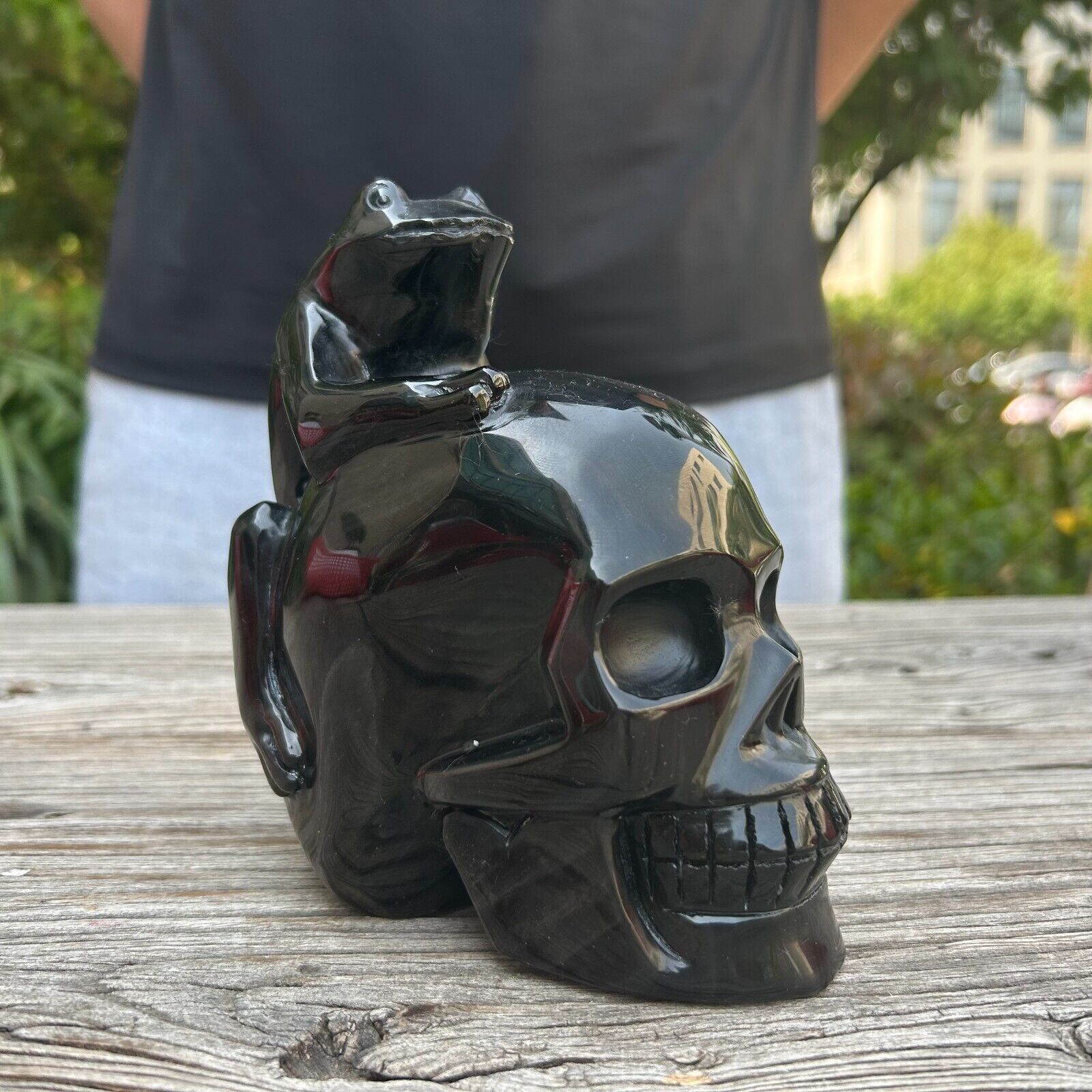 3.8LB 5.5''Natural Silver Obsidian Frog Skull Crystal Carving Reiki Healing