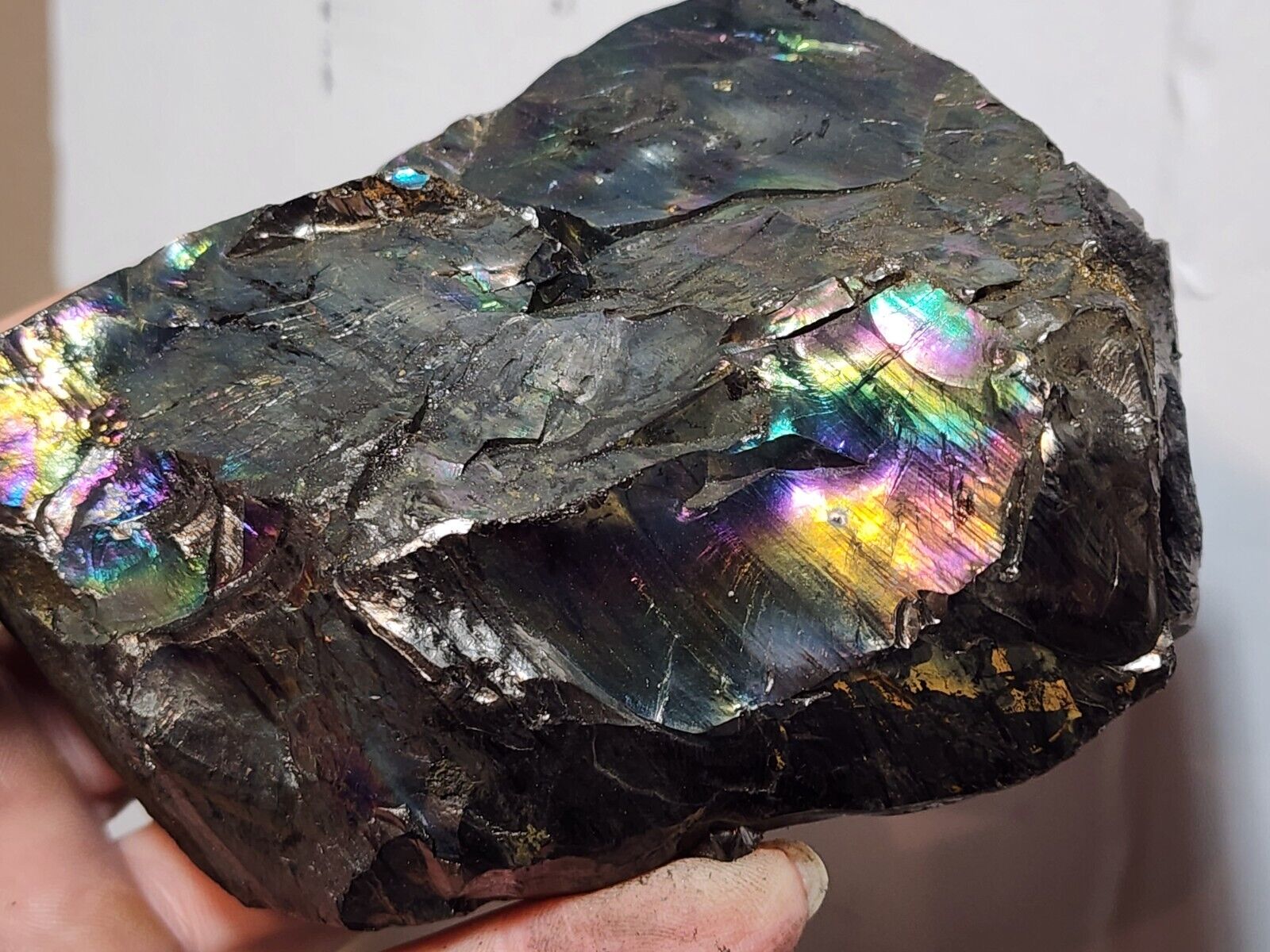 Large Iridescent PEACOCK COAL Rainbow Anthracite, Tresckow PA
