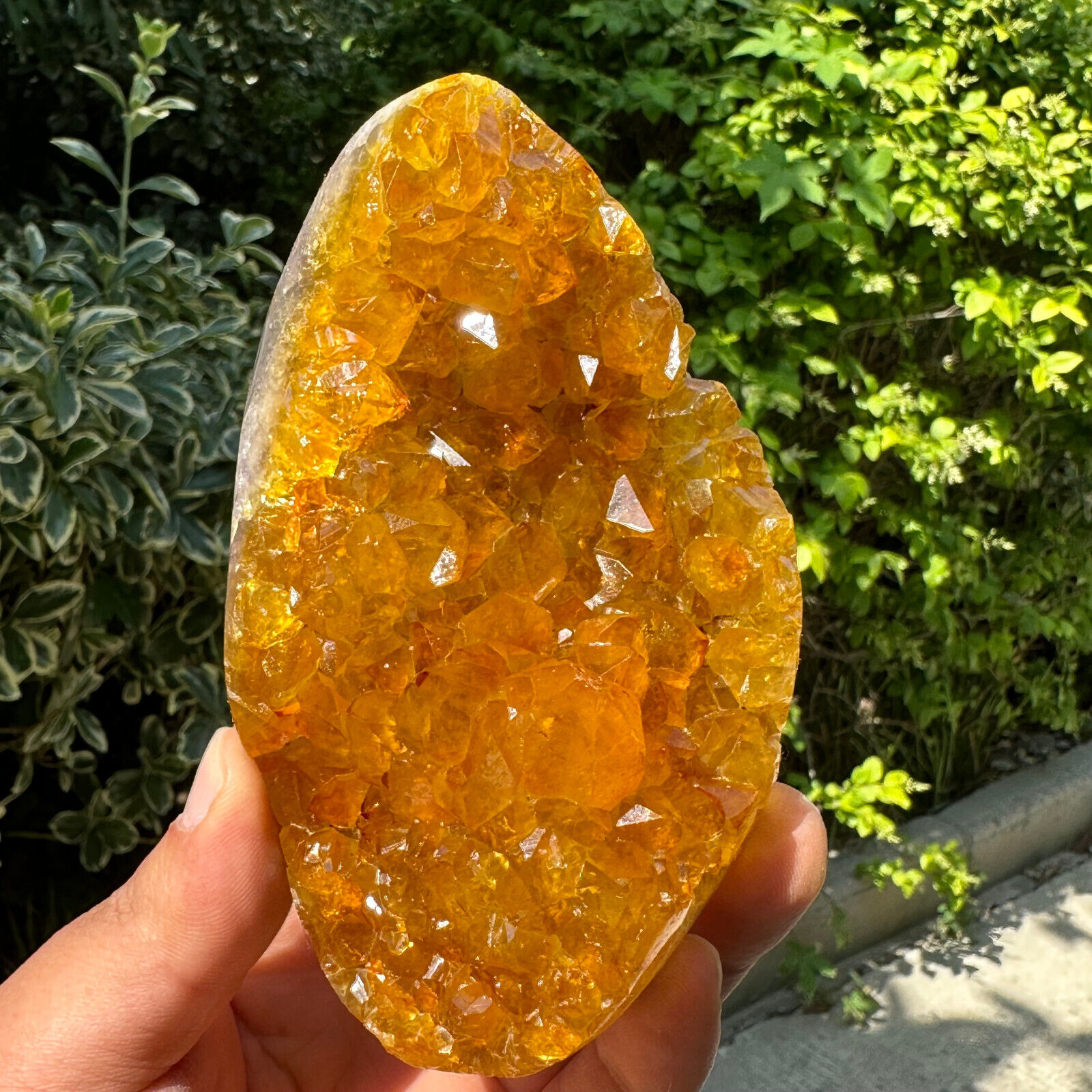 587G  Natural citrine geode quartz cluster crystal Cathedrals specimen Healing