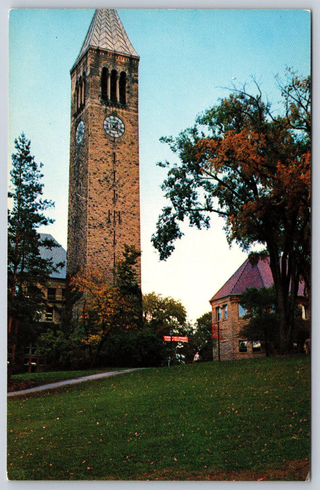 Postcard Library Tower Cornell University Ithaca, NY G17
