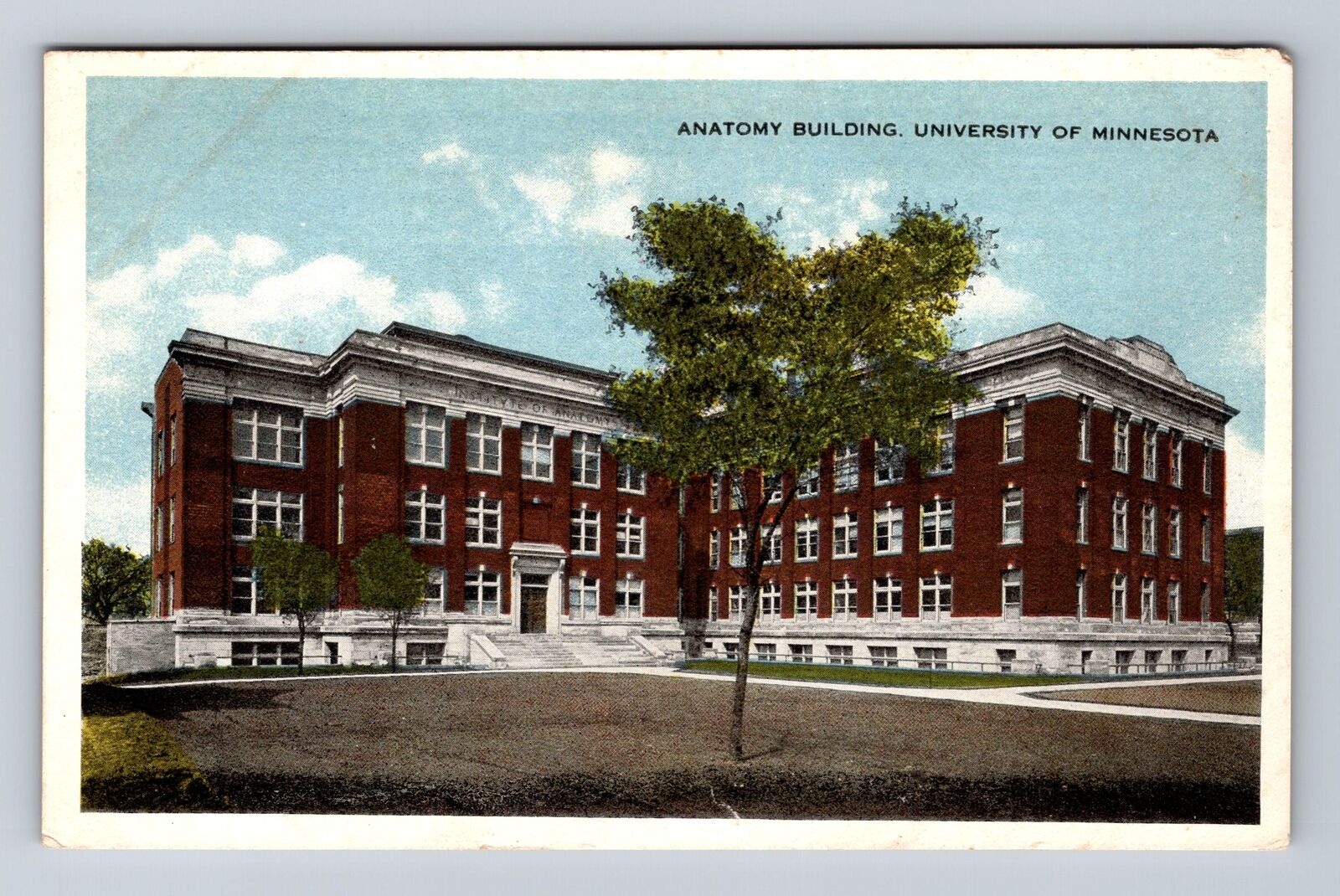Minneapolis MN-Minnesota, University Minnesota, Anatomy Bldg. Vintage Postcard
