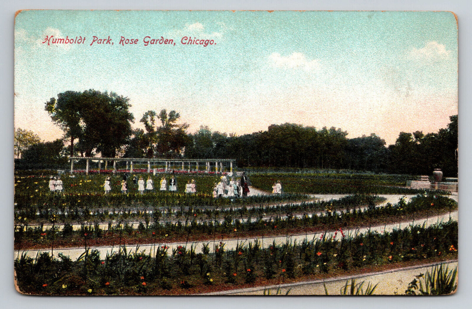 Chicago Illinois Humboldt Park Rose Garden IL Postcard