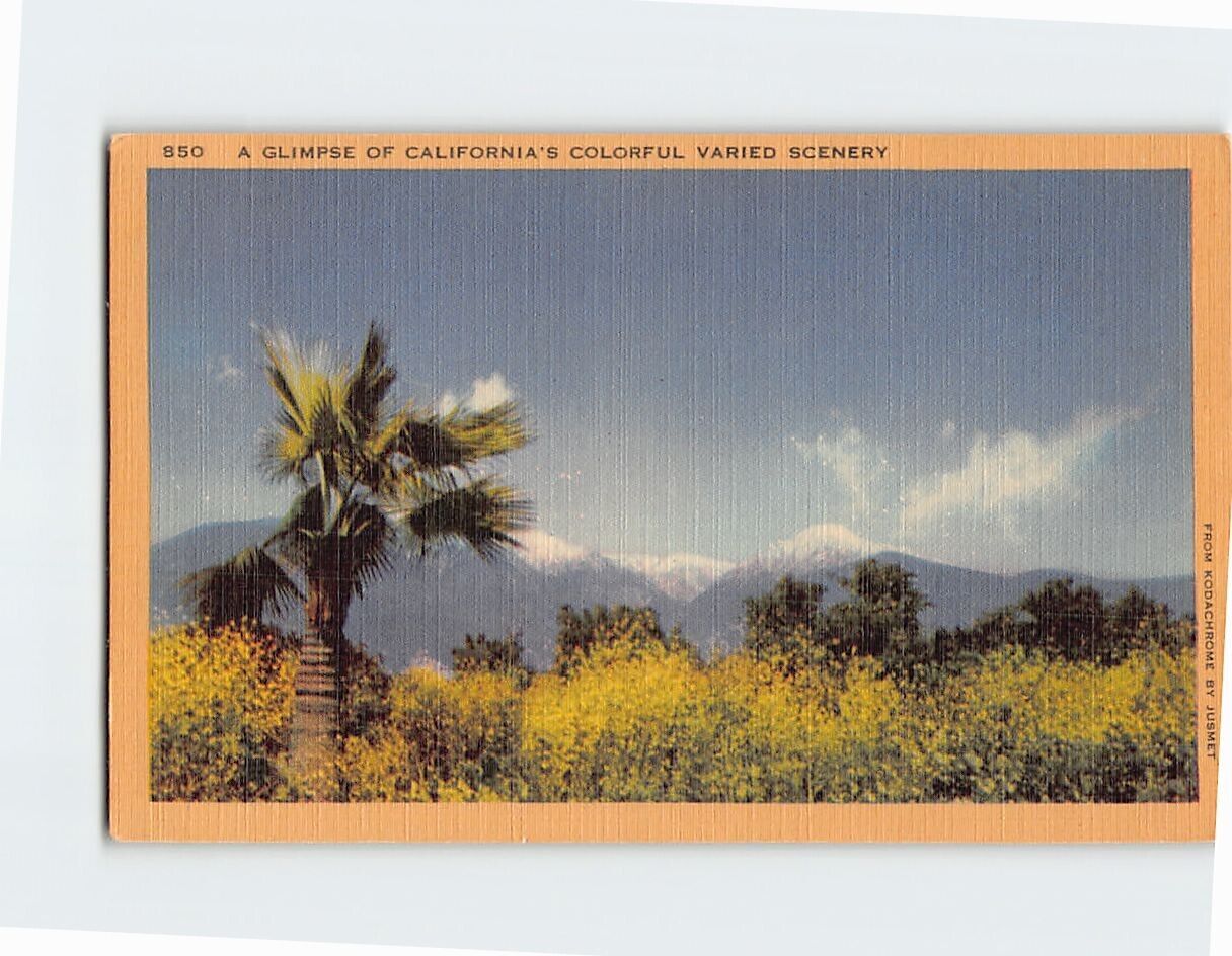 Postcard A Glimpse Of Californias Colorful Varied Scenery California USA