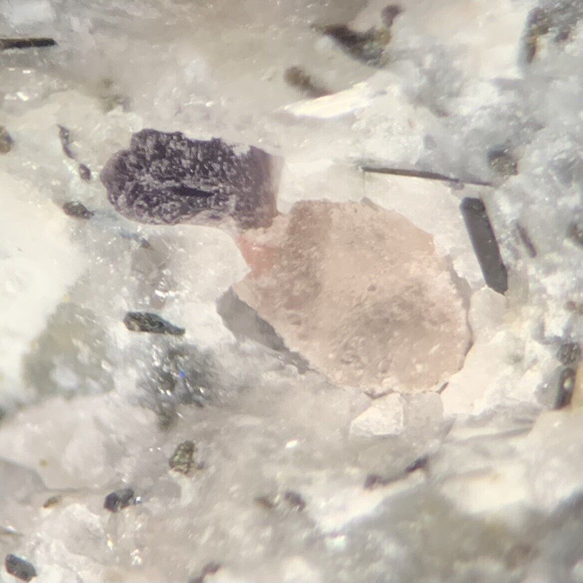 Rare Villiaumite Crystal Micro Point Of Rocks Colfax Co New Mexico USA
