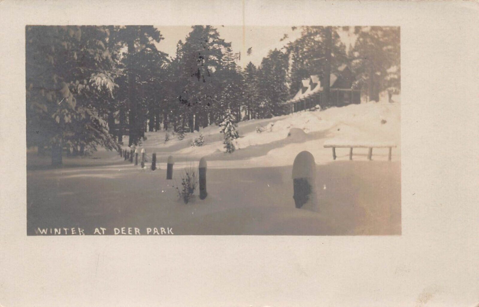 RPPC Deer Park CA Napa County California c1911 Angwin Snow Photo Vtg Postcard W7