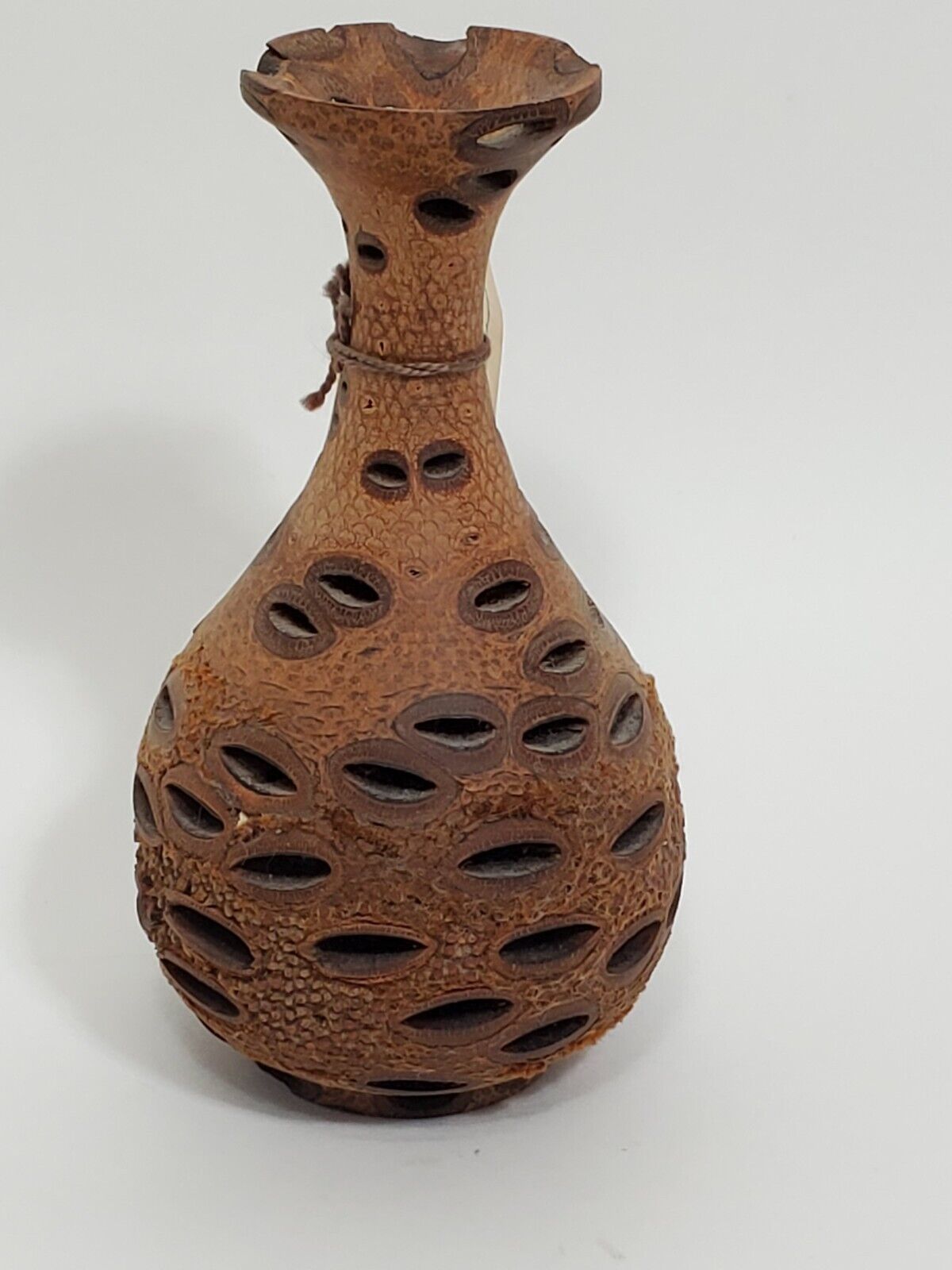 Dandahra Craftware Hand Turned Australian Banksia Grandis Nut Pod Vase 5.5 in