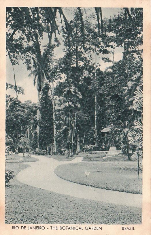 Postcard Rio De Janeiro Brazil Botanical Garden 