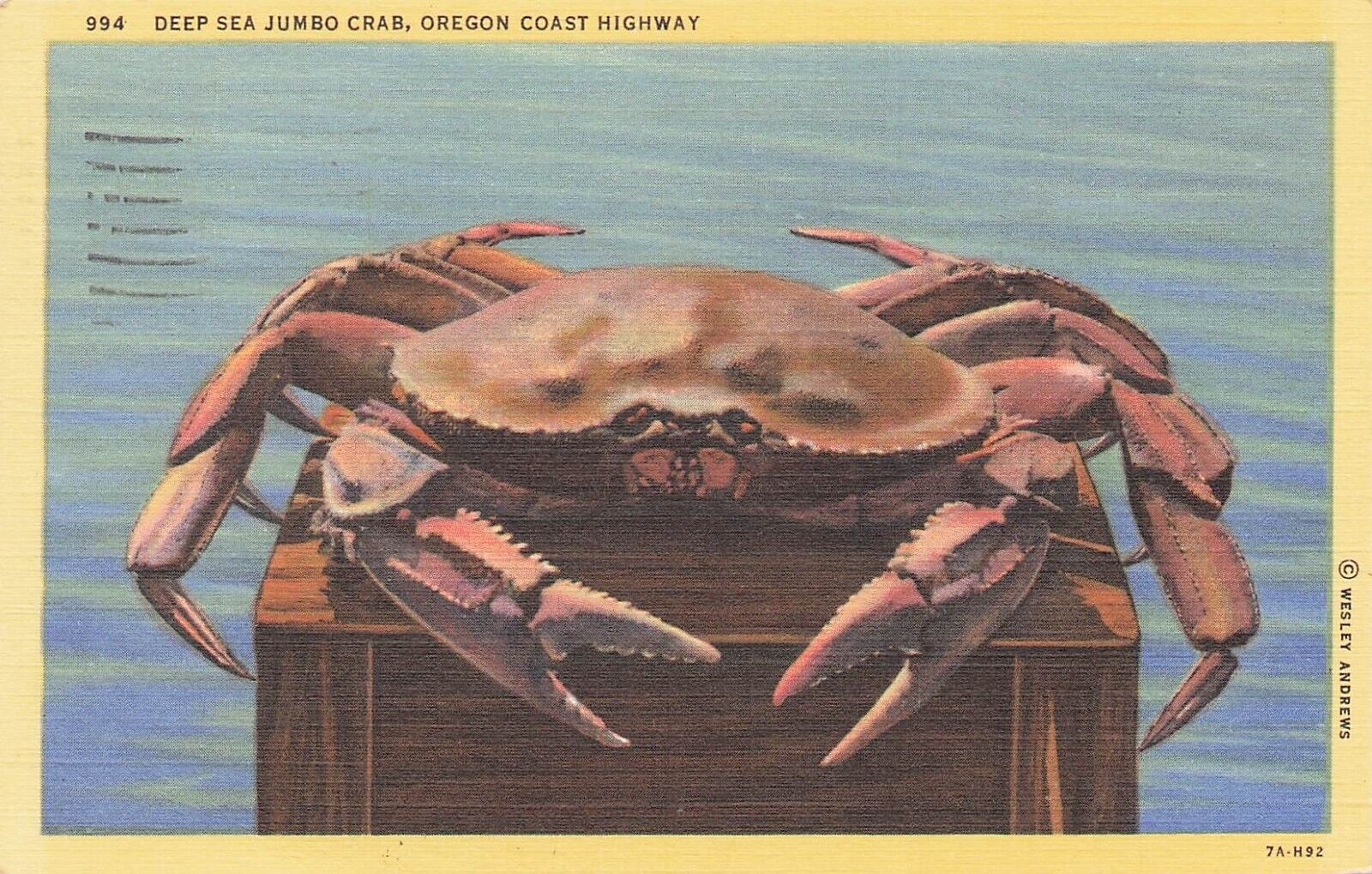 Deep Sea Jumbo Crab Oregon Coast Highway  PM 1948 Portland