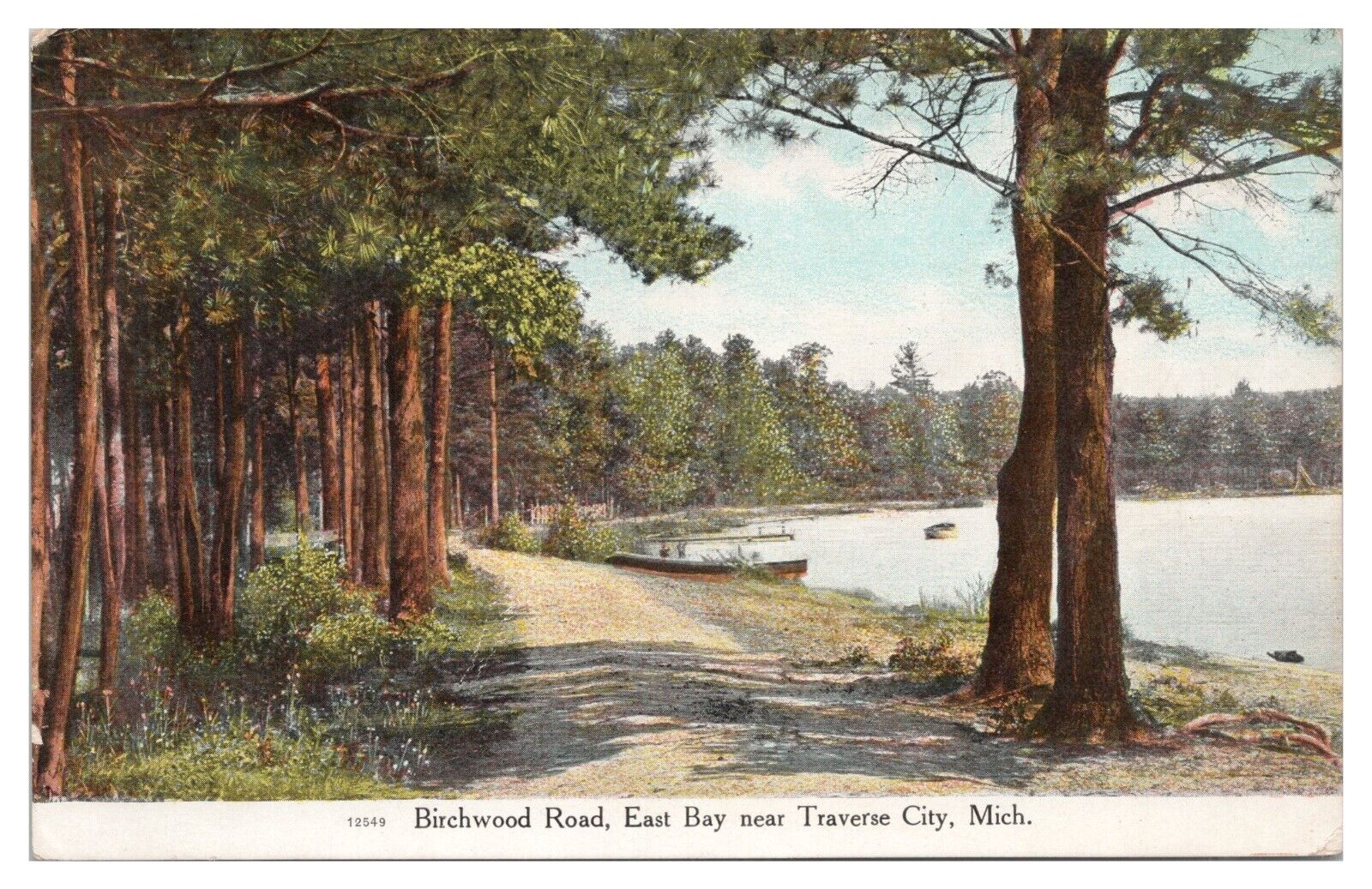 Birchwood Road East Bay Traverse City Michigan MI Vintage Postcard
