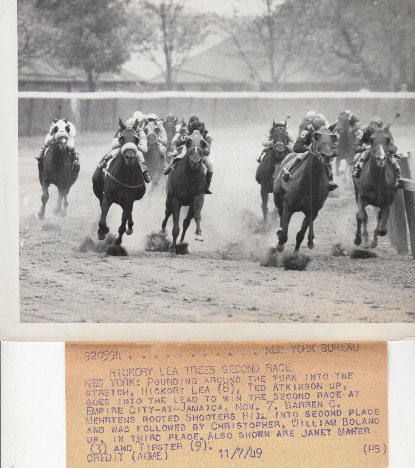 1949 Press Photo - HICKORY LEA TREES - EMPIRE CITY  -  Horse Racing Race 