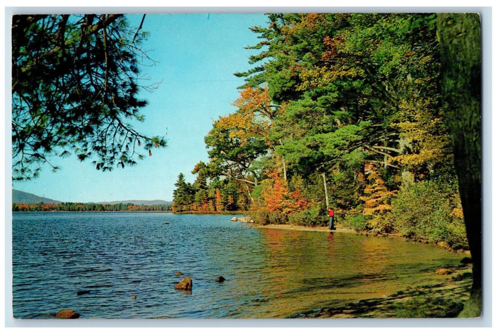 c1960\'s River Scene Greetings from Courtenay North Dakota ND Vintage Postcard