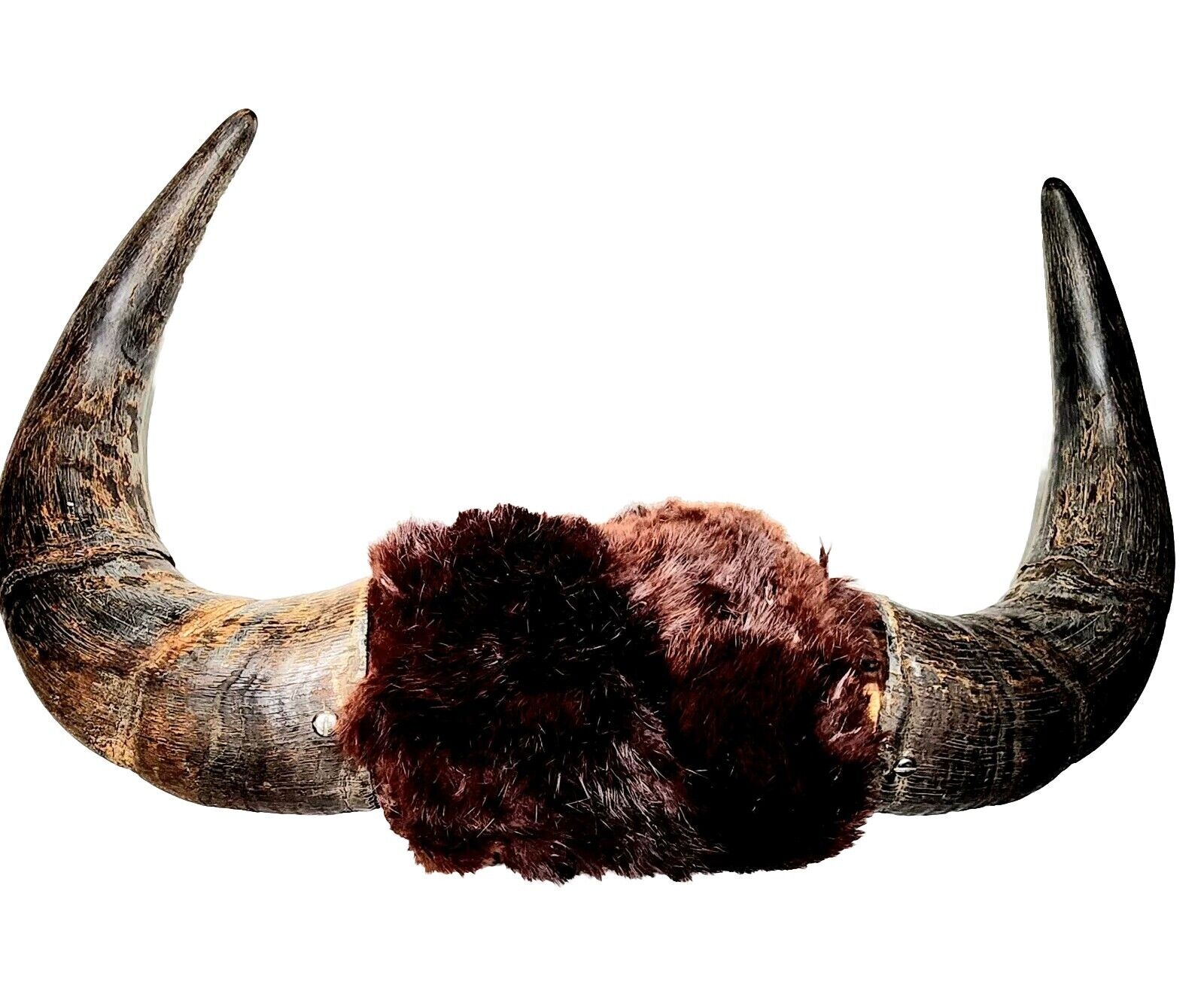 Rustic 18'' Bull Horns Wrapped w/Beaver Pelt Handmade Country Western Theme EUC