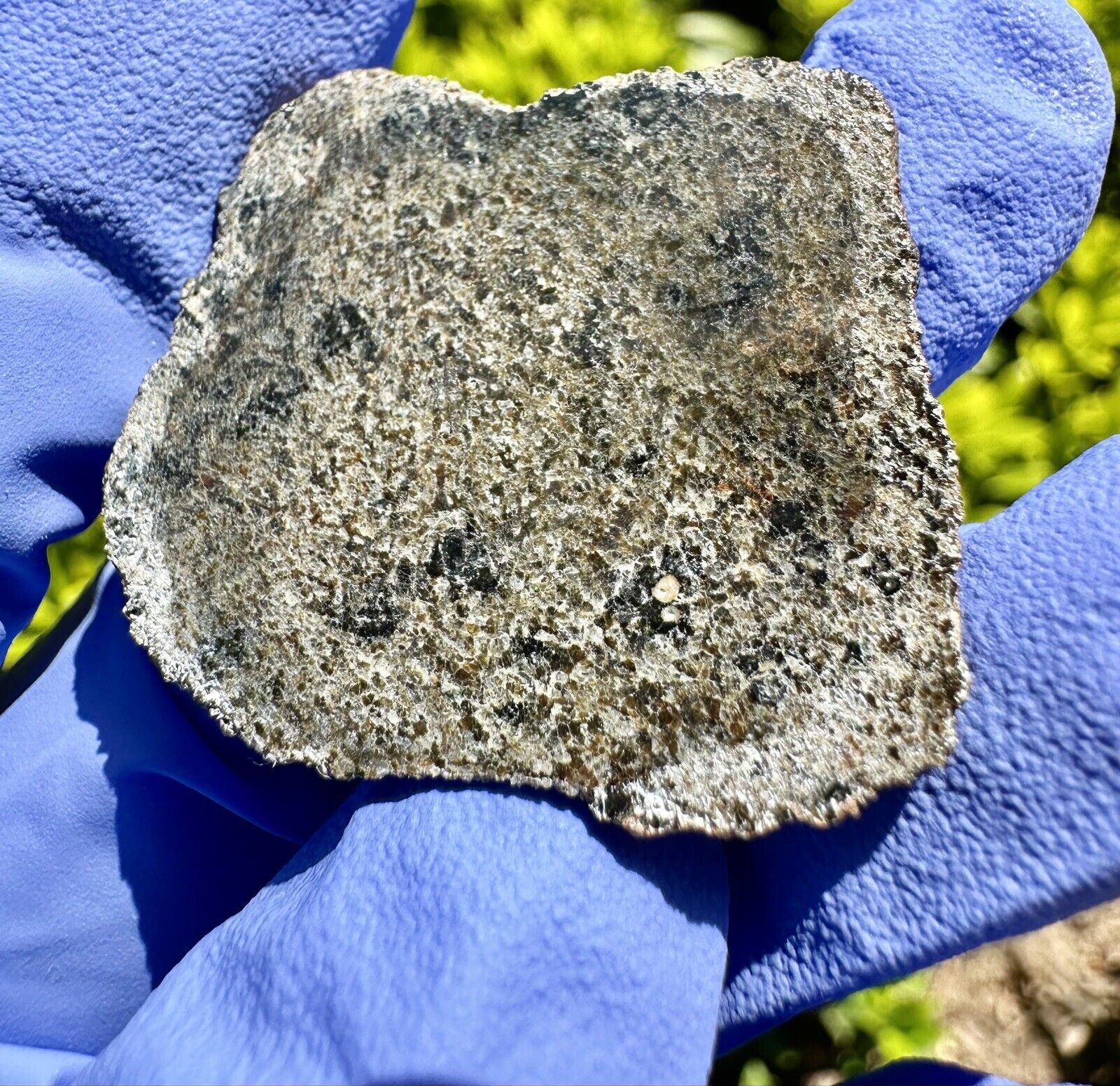 meteorite: NWA 14899 Weigh: 3.687 Grams: Golden Martian ❤️‍🔥