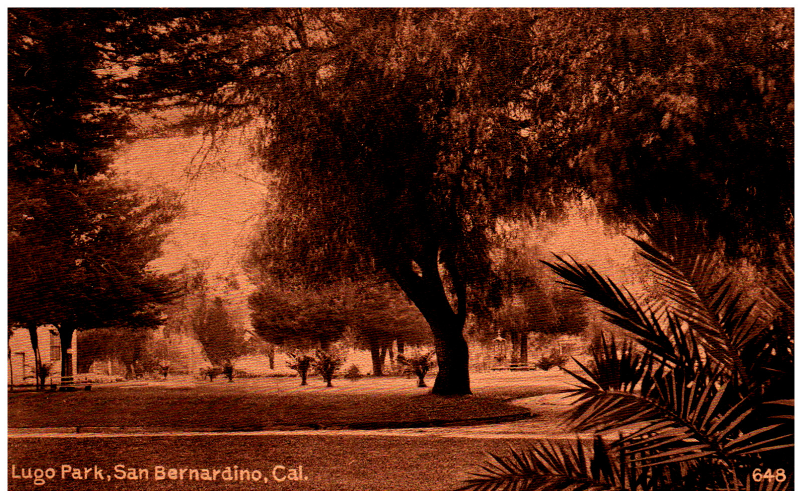 Postcard Vintage Sepia Lugo Park San Bernardino, California Pioneer Park